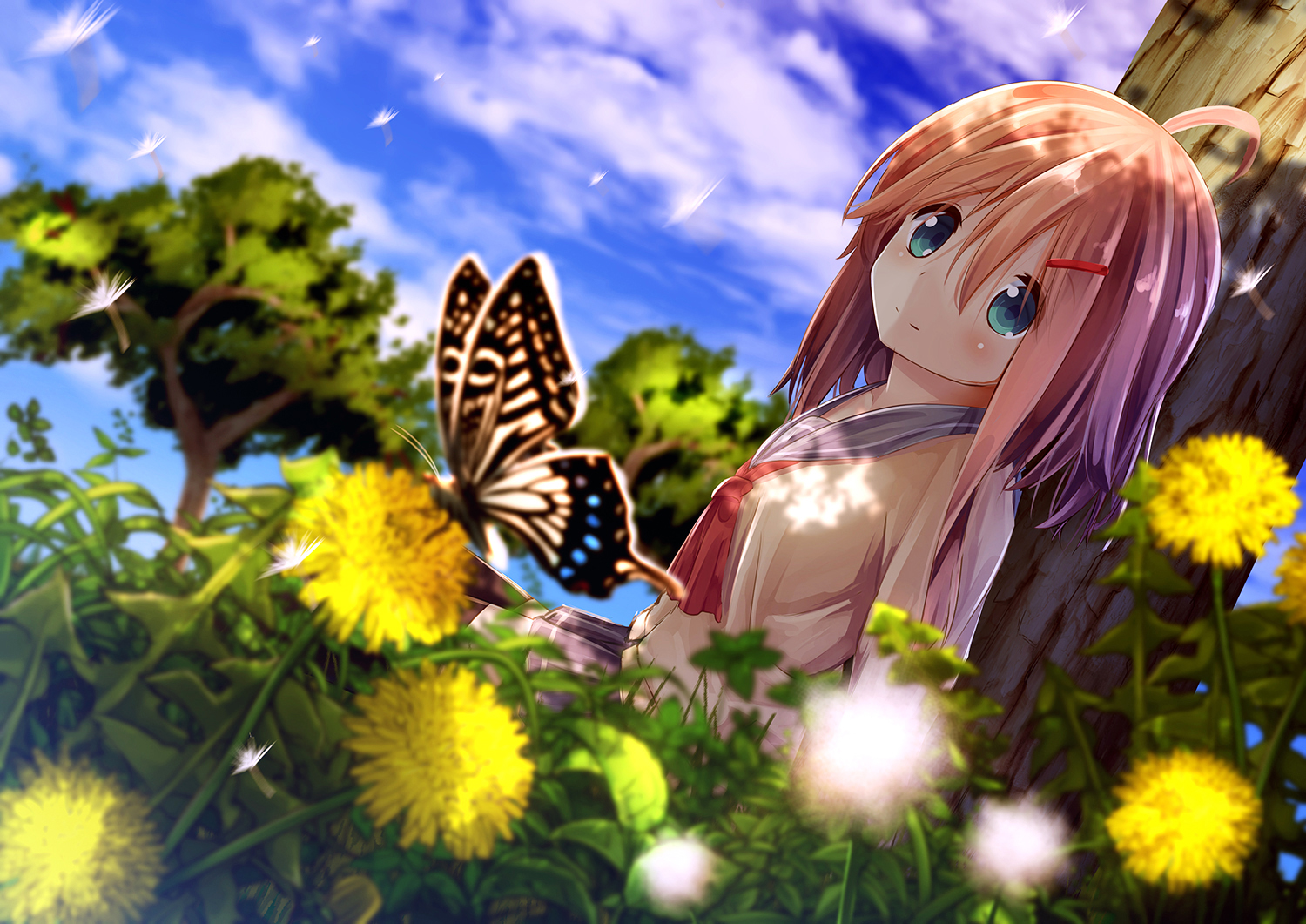 Anime Butterfly Girl Wallpapers