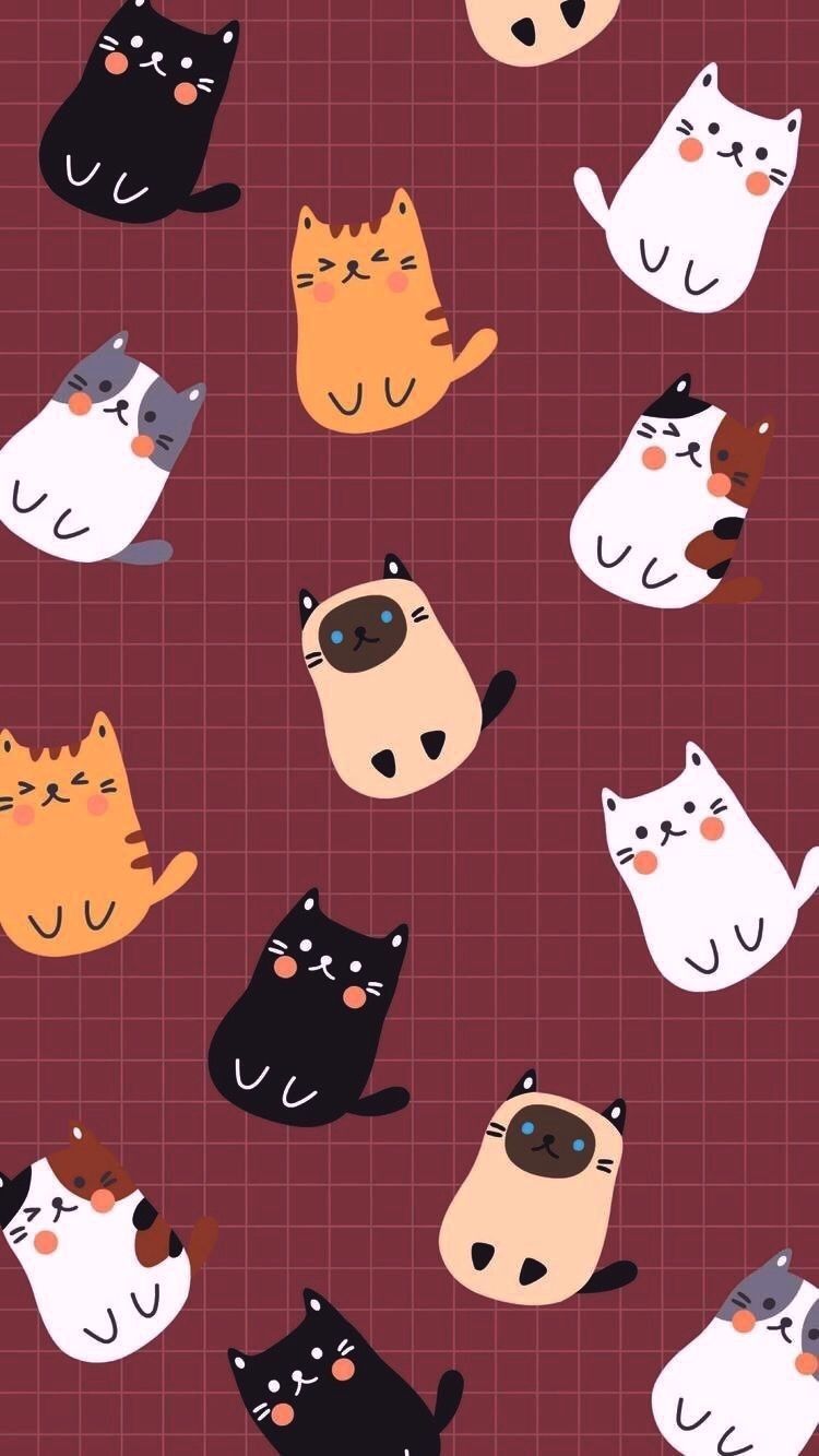 Anime Cats Wallpapers