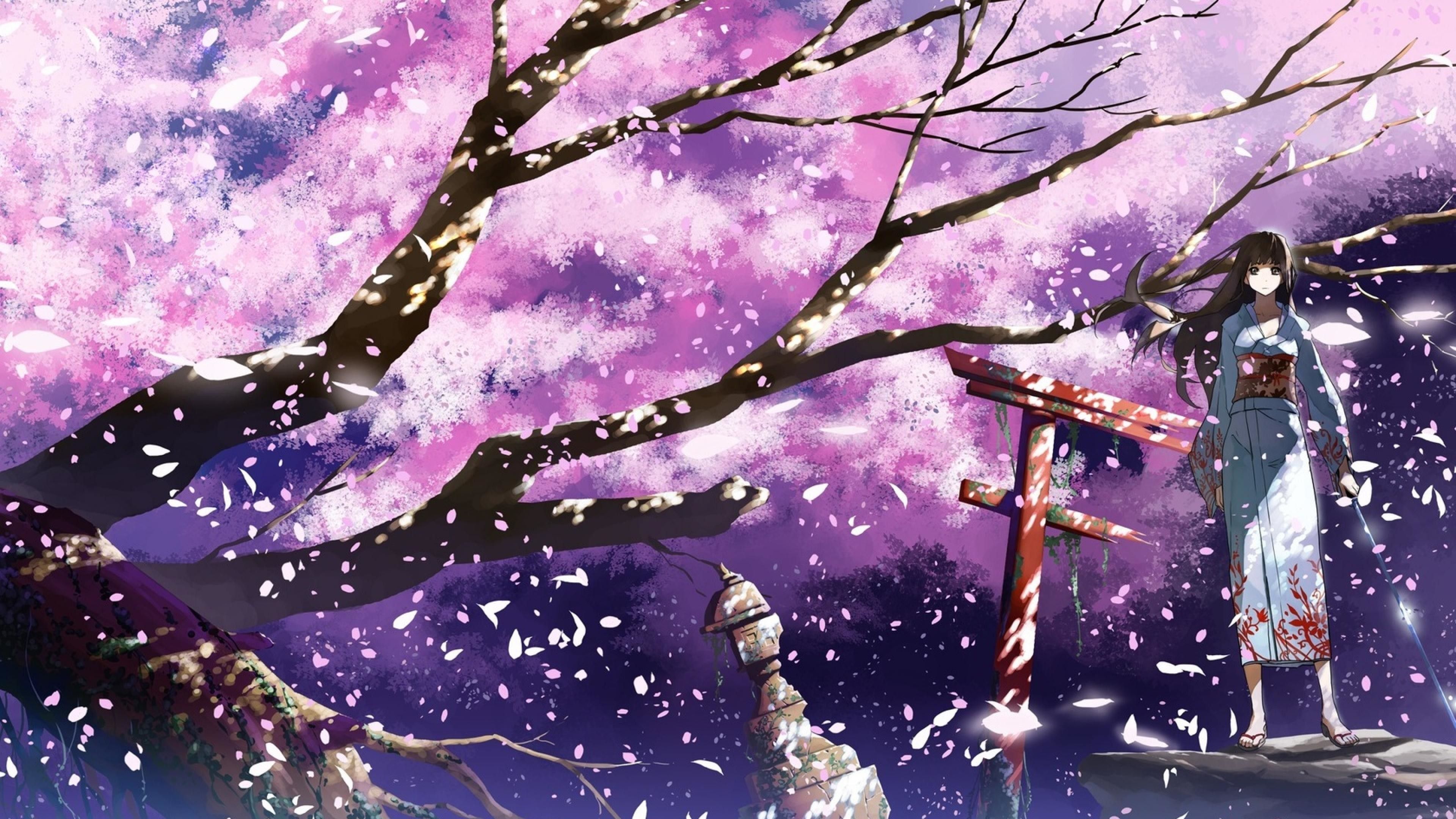 Anime Cherry Blossom 4K Wallpapers