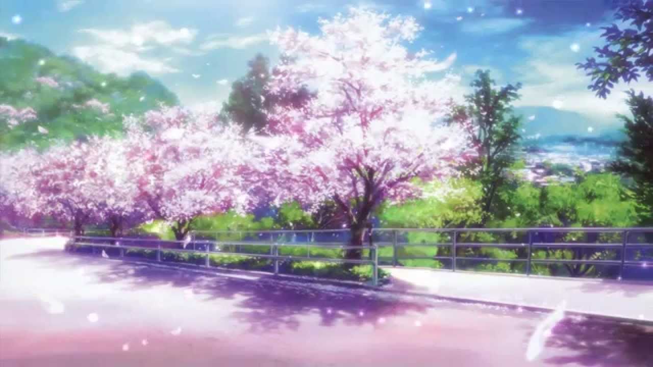Anime Cherry Blossom Wallpapers
