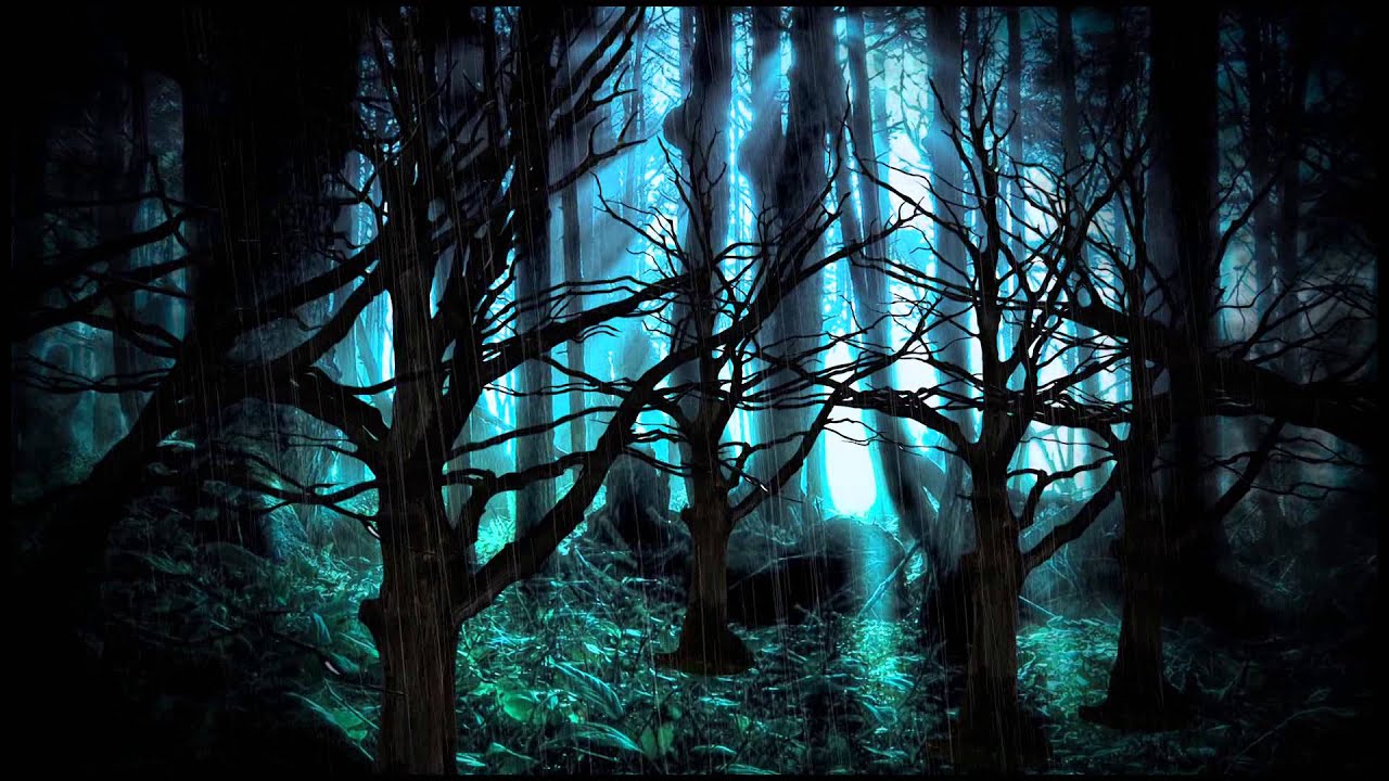 Anime Dark Forest Wallpapers