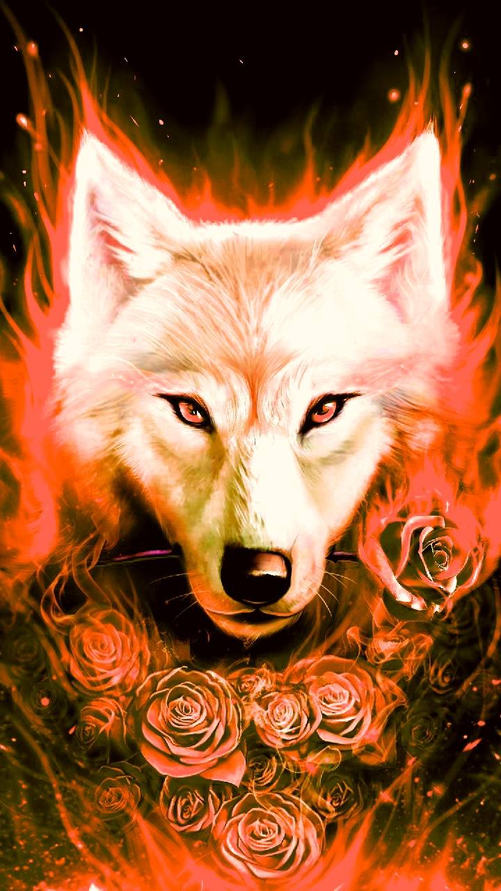Anime Fire Wolf Wallpapers