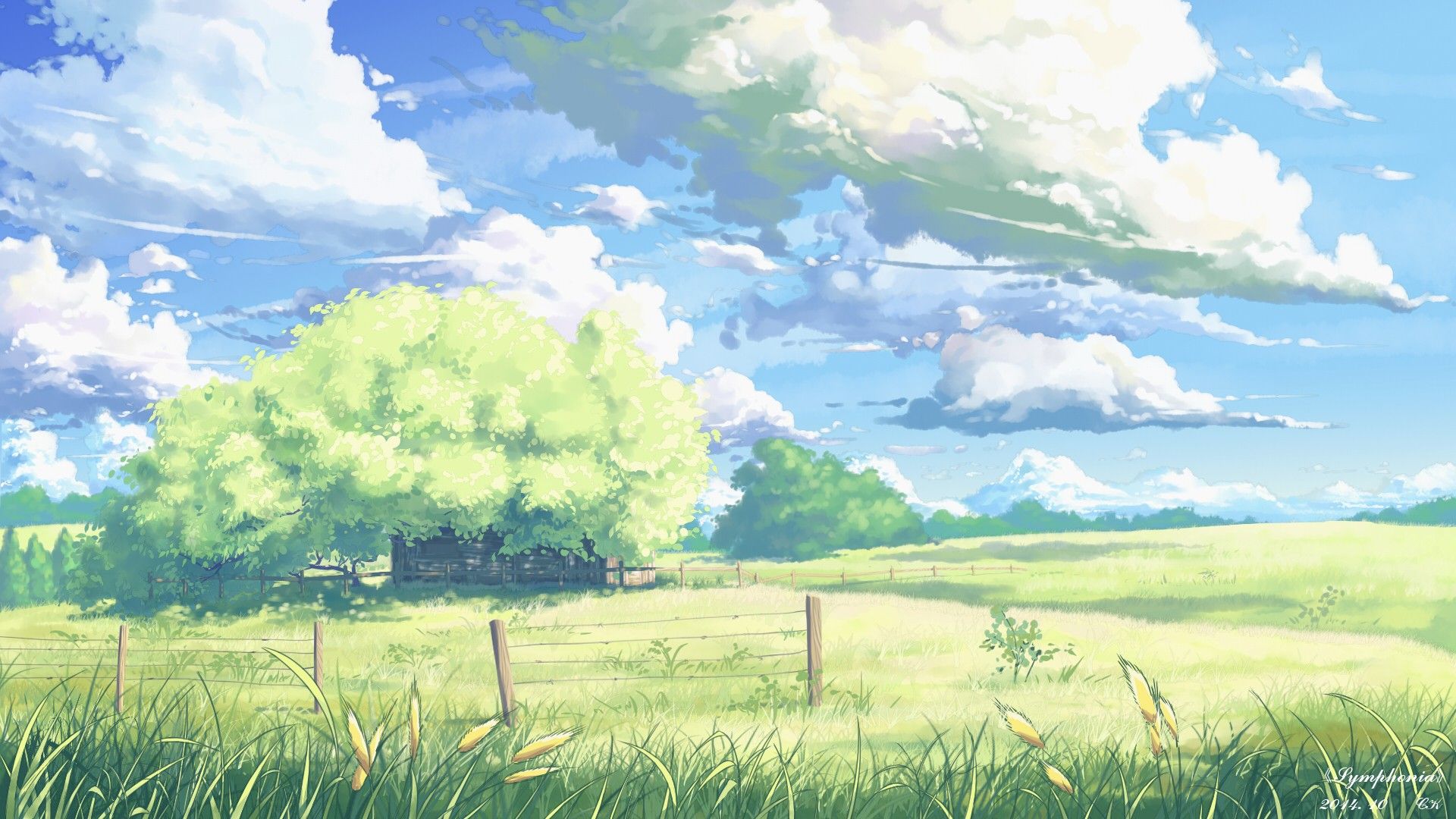 Anime Flower Field Scenery Wallpapers