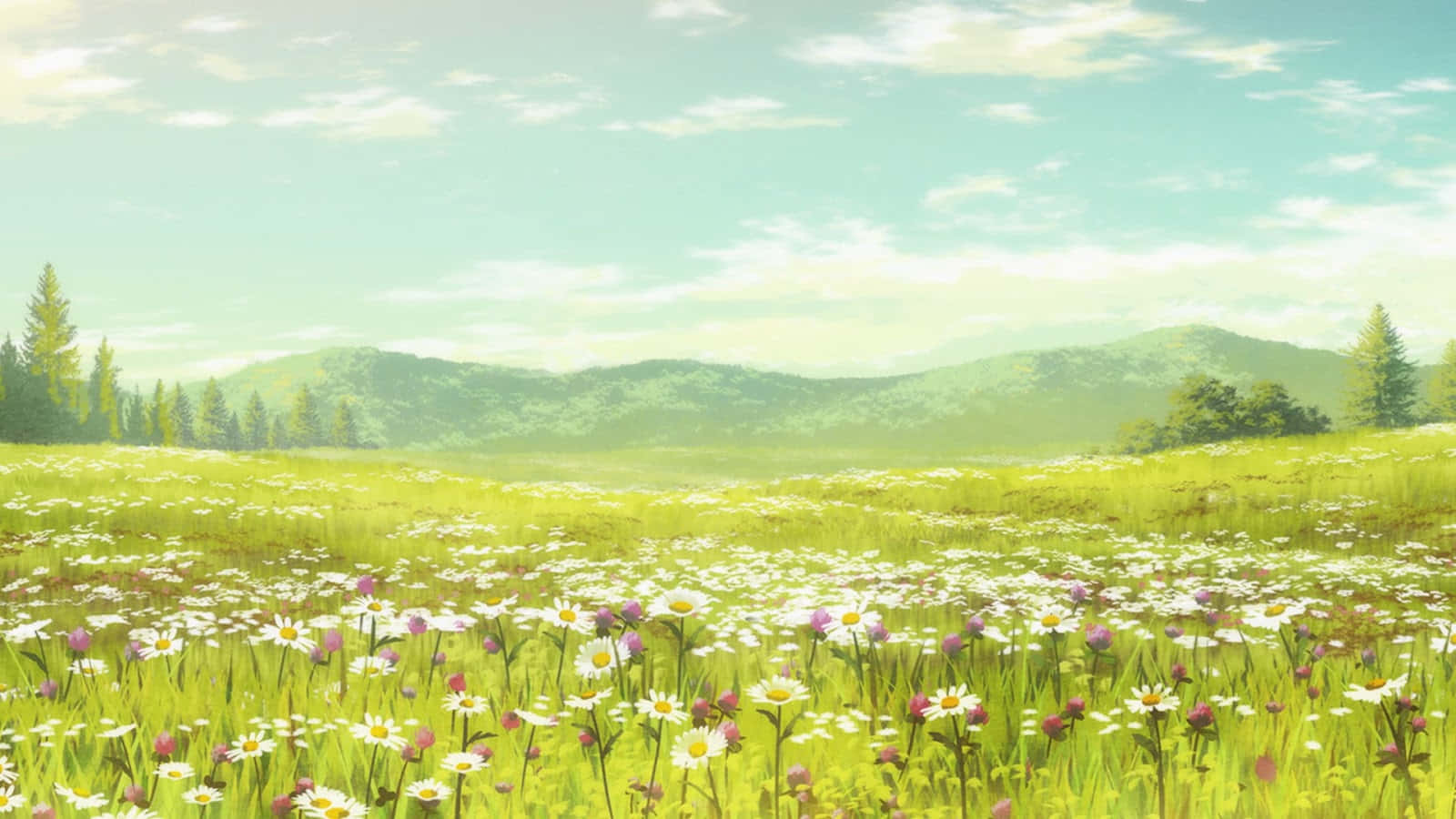Anime Flower Field Scenery Wallpapers