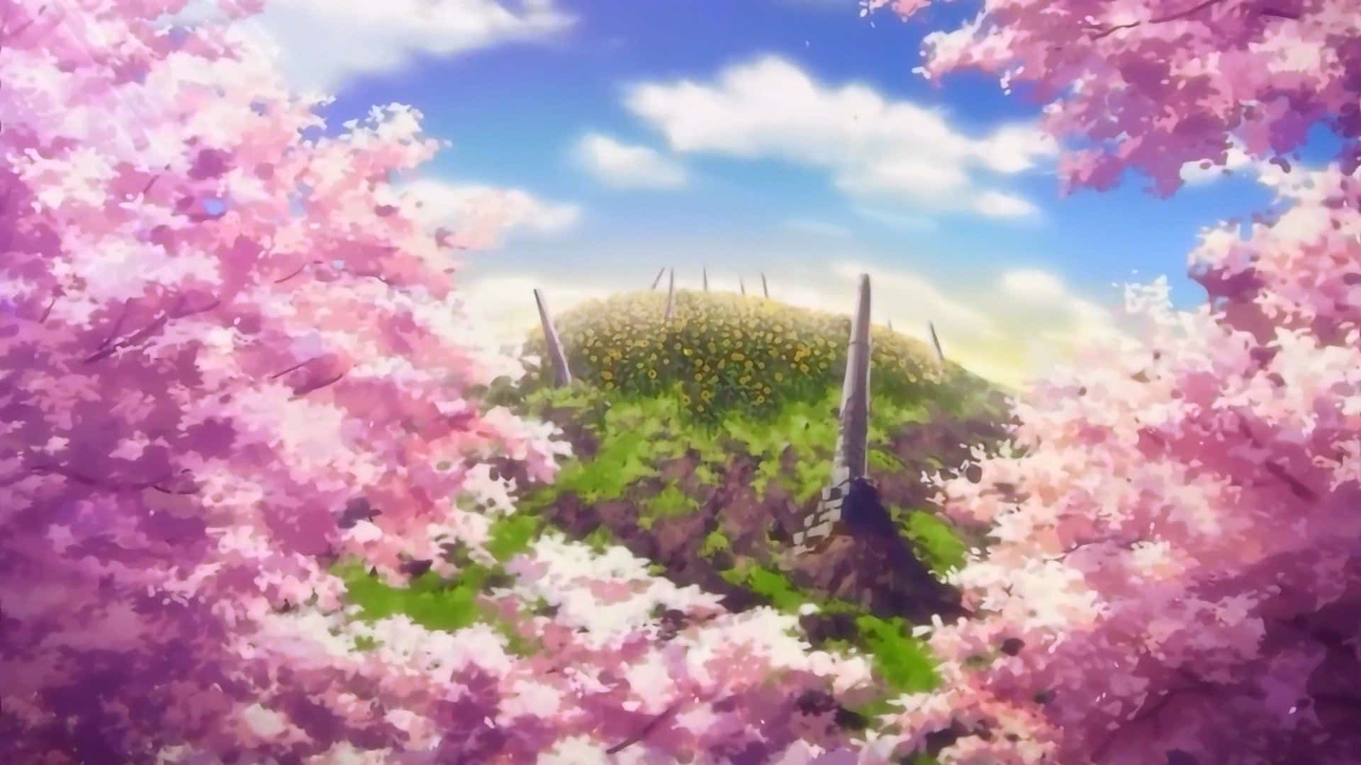 Anime Flower Field Scenery Wallpapers