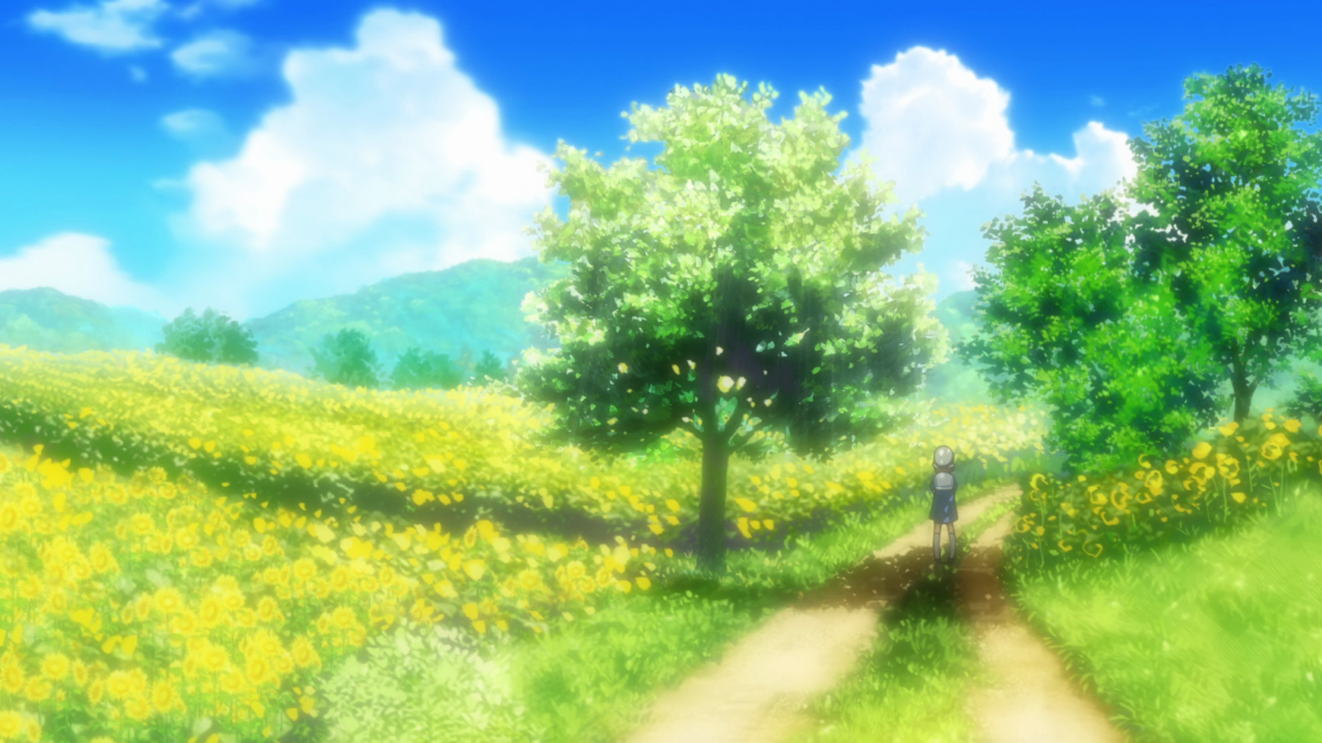 Anime Flower Field Scenery Wallpapers