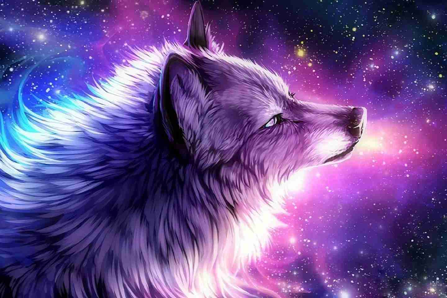 Anime Galaxy Wolf Wallpapers