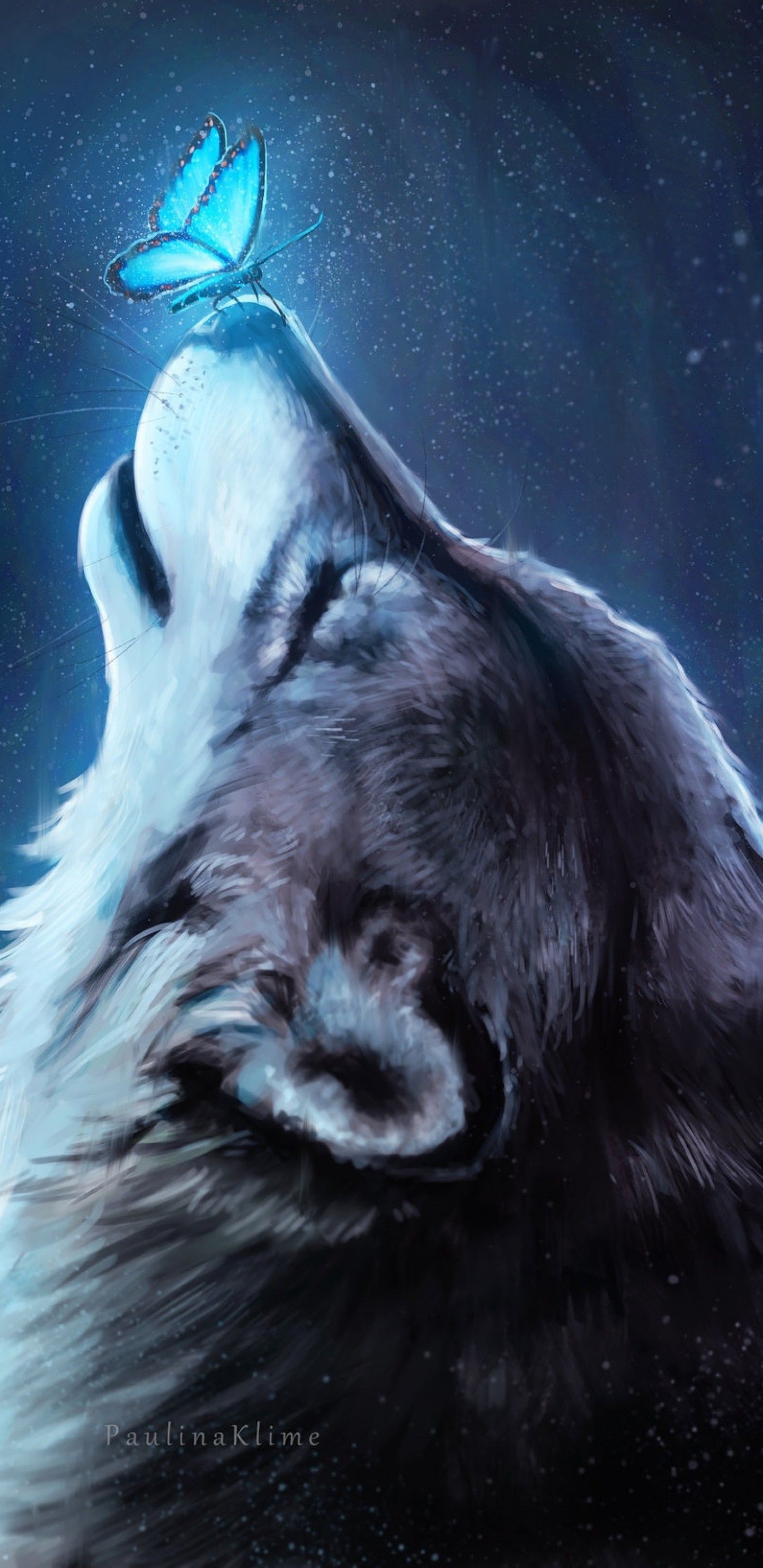Anime Galaxy Wolf Wallpapers
