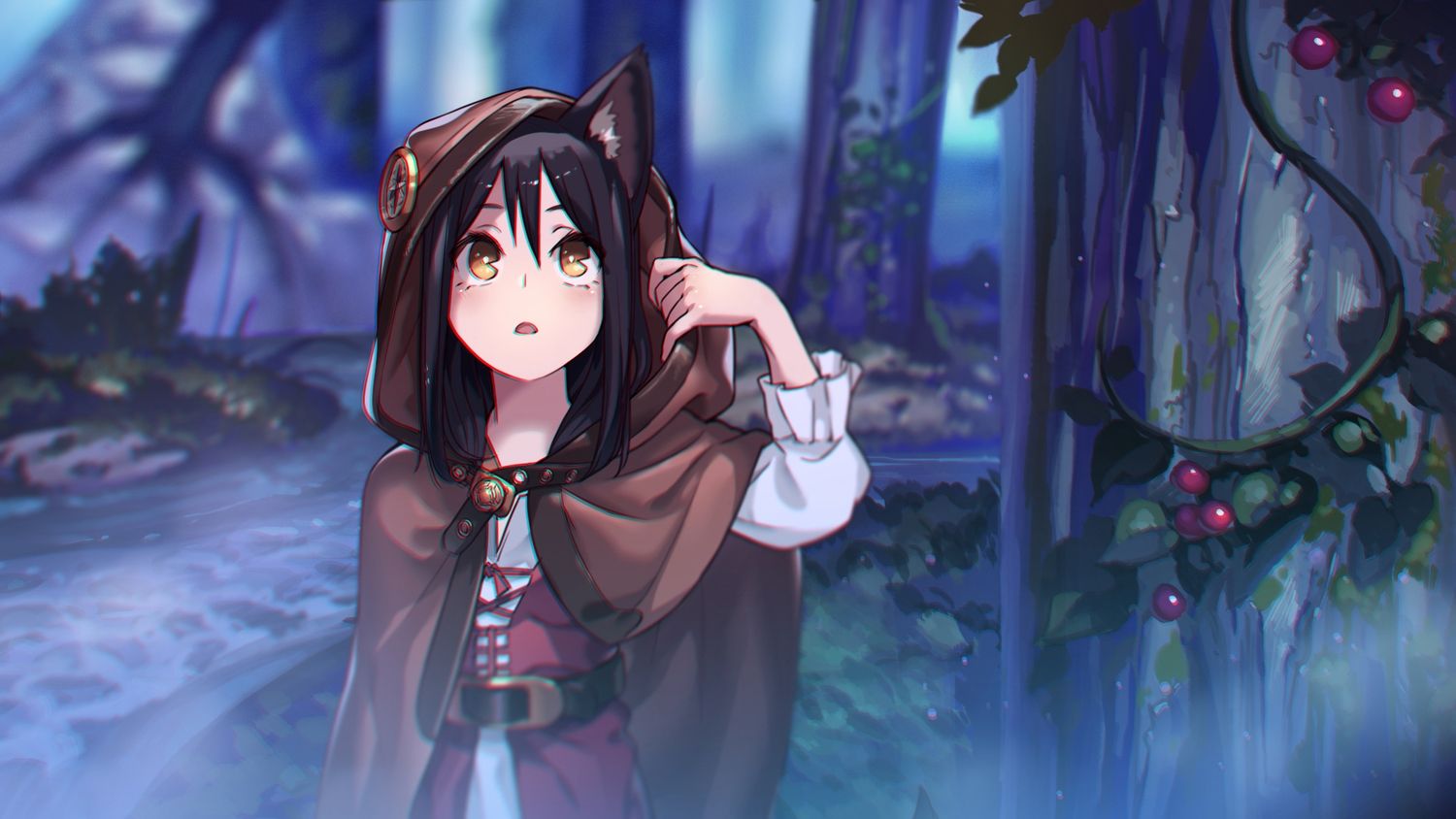 Anime Girl Cat Hoodie Wallpapers