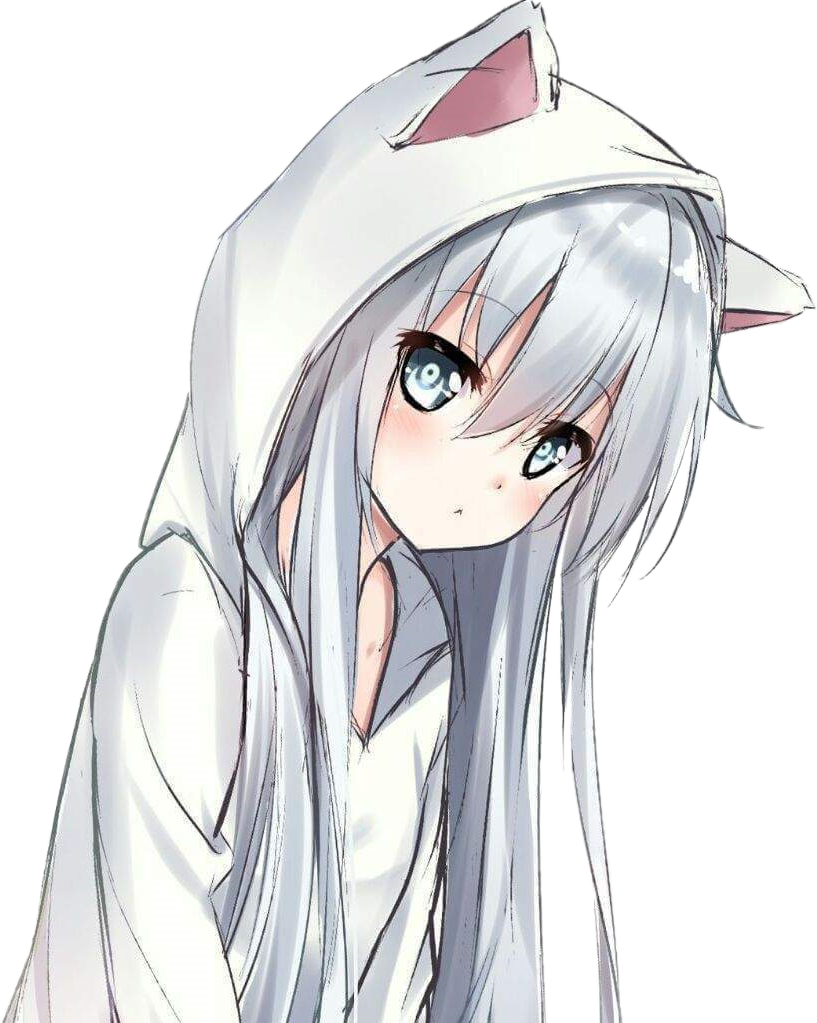 Anime Girl Cat Hoodie Wallpapers