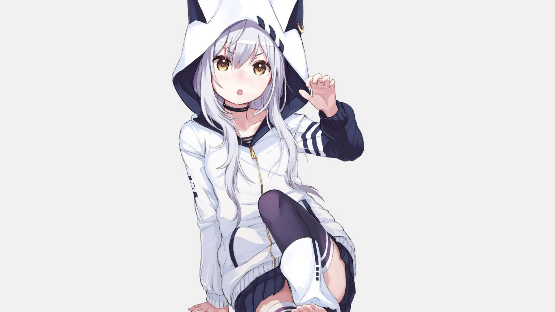 Anime Girl Cat Hoodie Wallpapers