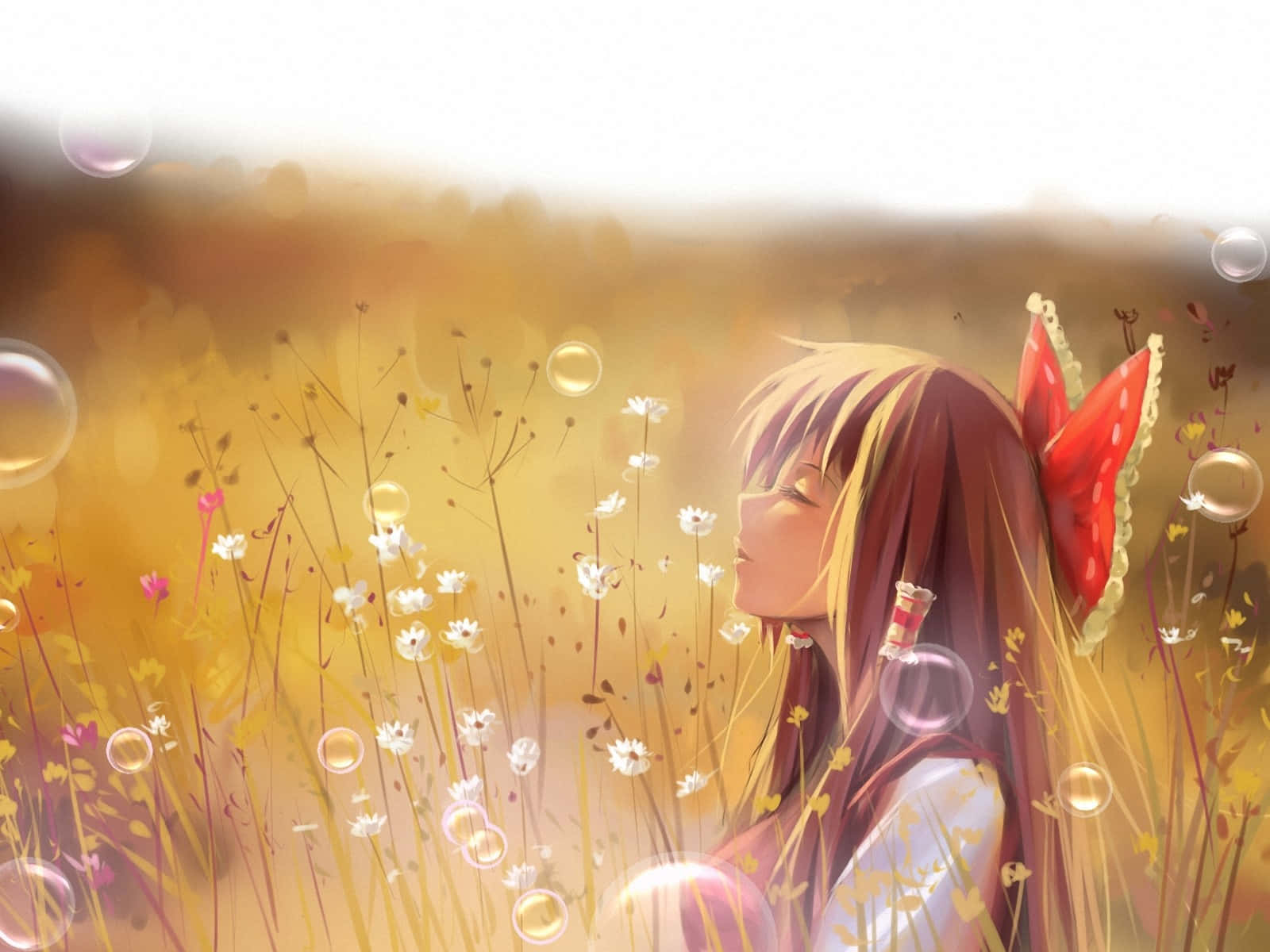 Anime Girl In Field Wallpapers