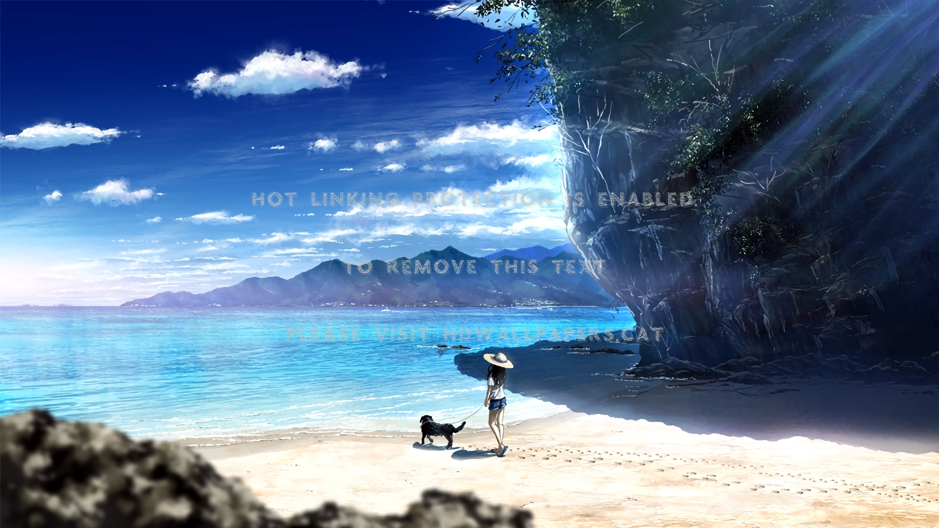 Anime Girl In Sunny Weather Wallpapers