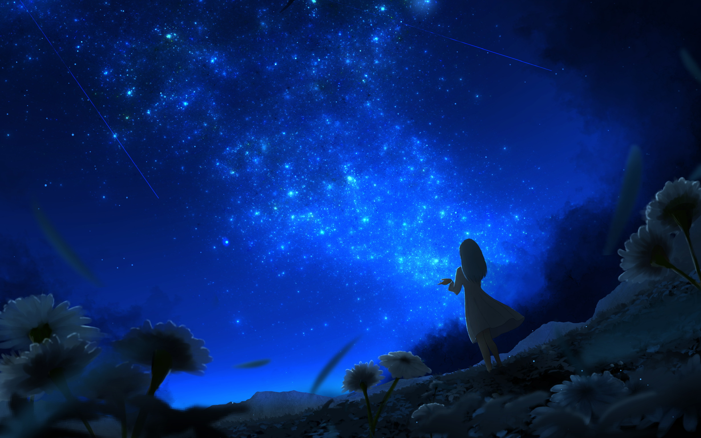 Anime Girl Looking At Stars Wallpapers