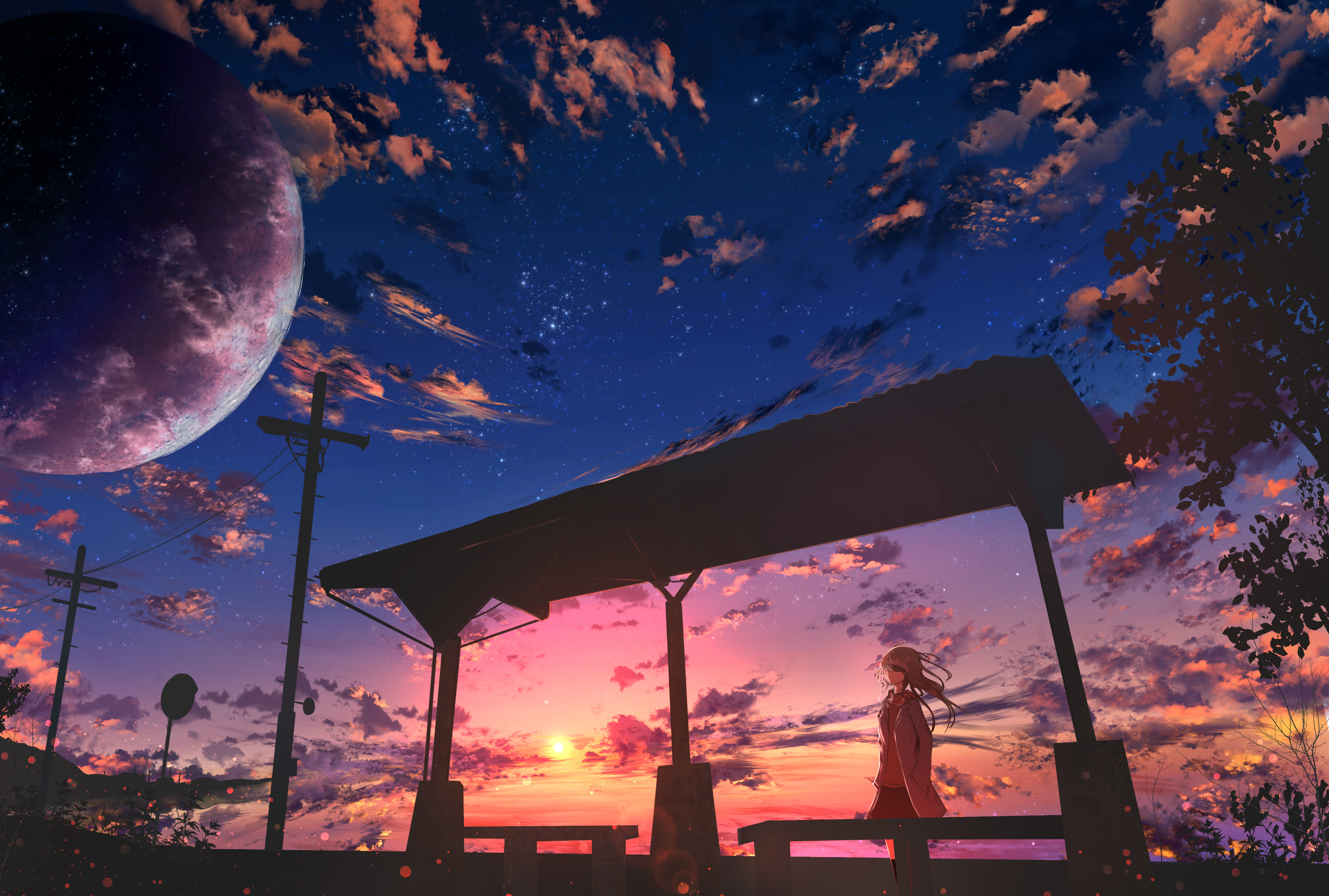 Anime Girl Night Sky Wallpapers