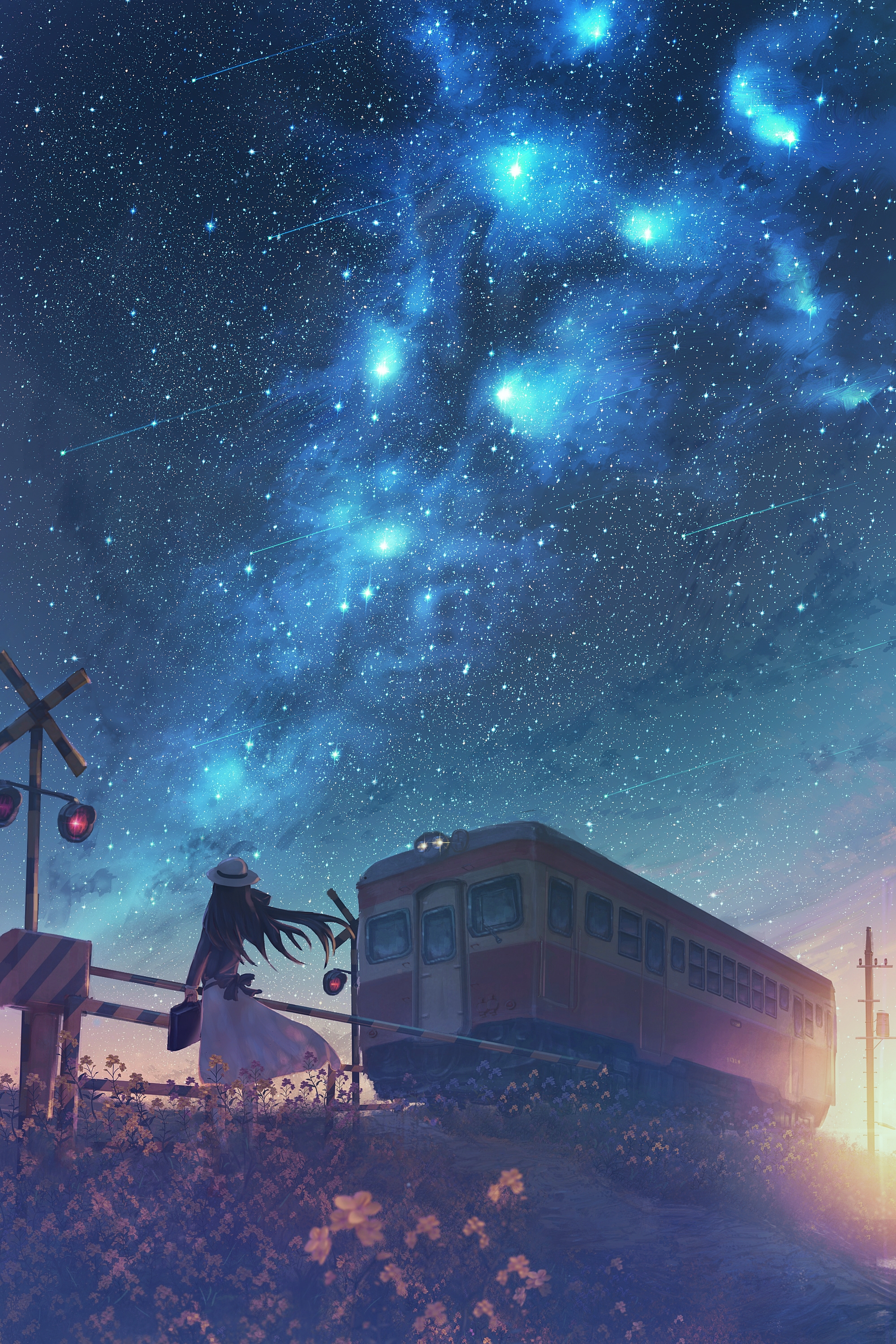 Anime Girl Night Sky Wallpapers