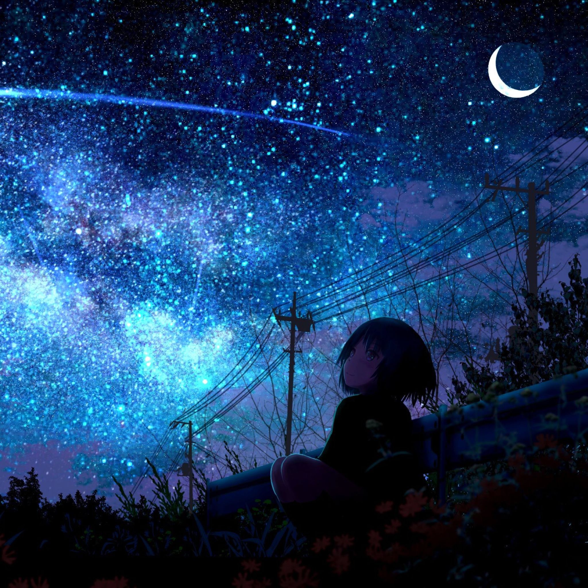 Anime Girl Night Sky Wallpapers