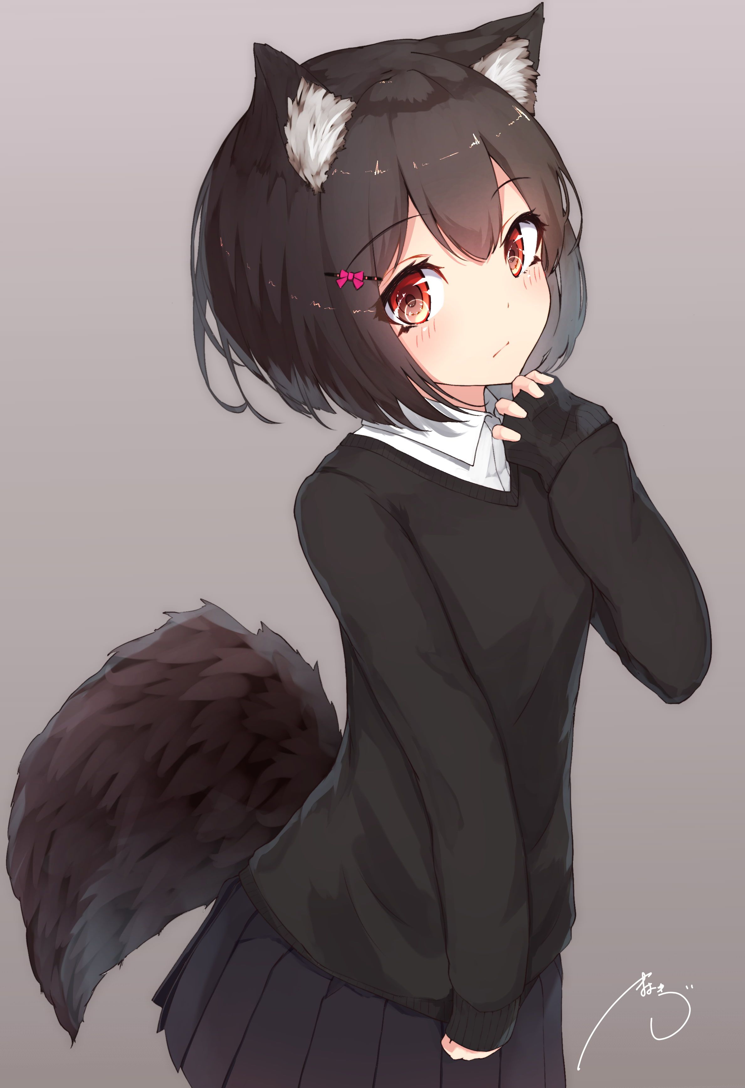 Anime Girl With Wolf Ears Wallpapers