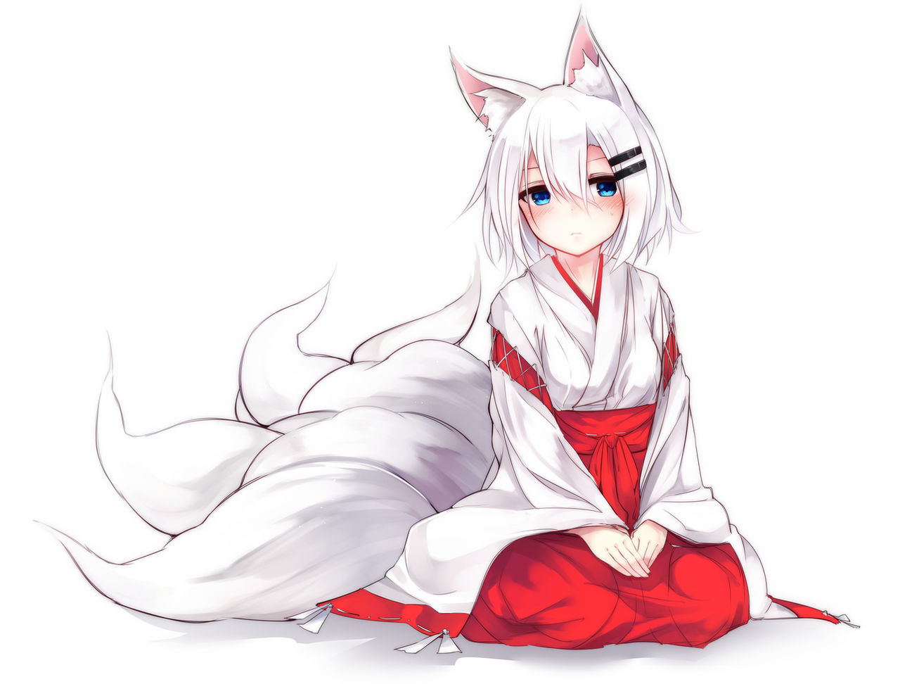 Anime Girl With Wolf Ears Wallpapers