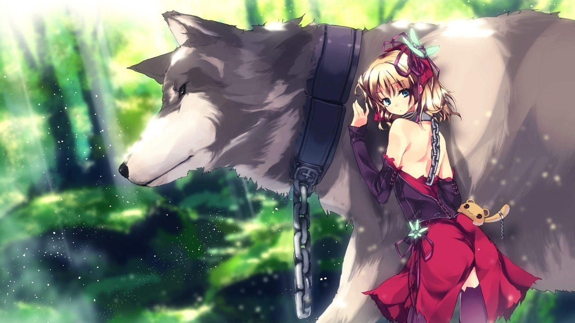 Anime Girl With Wolf Ears Wallpapers