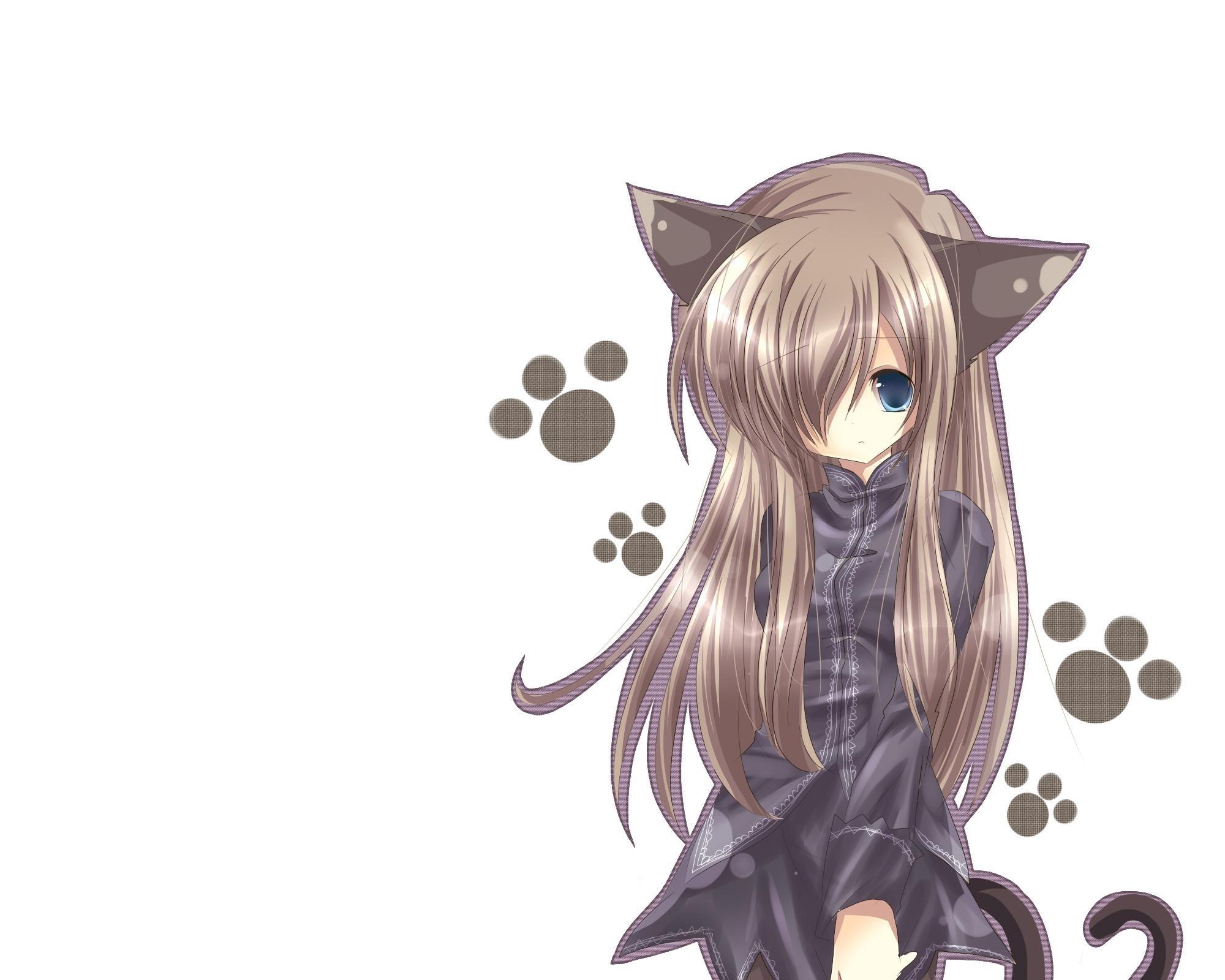 Anime Girl With Wolf Ears Wallpapers