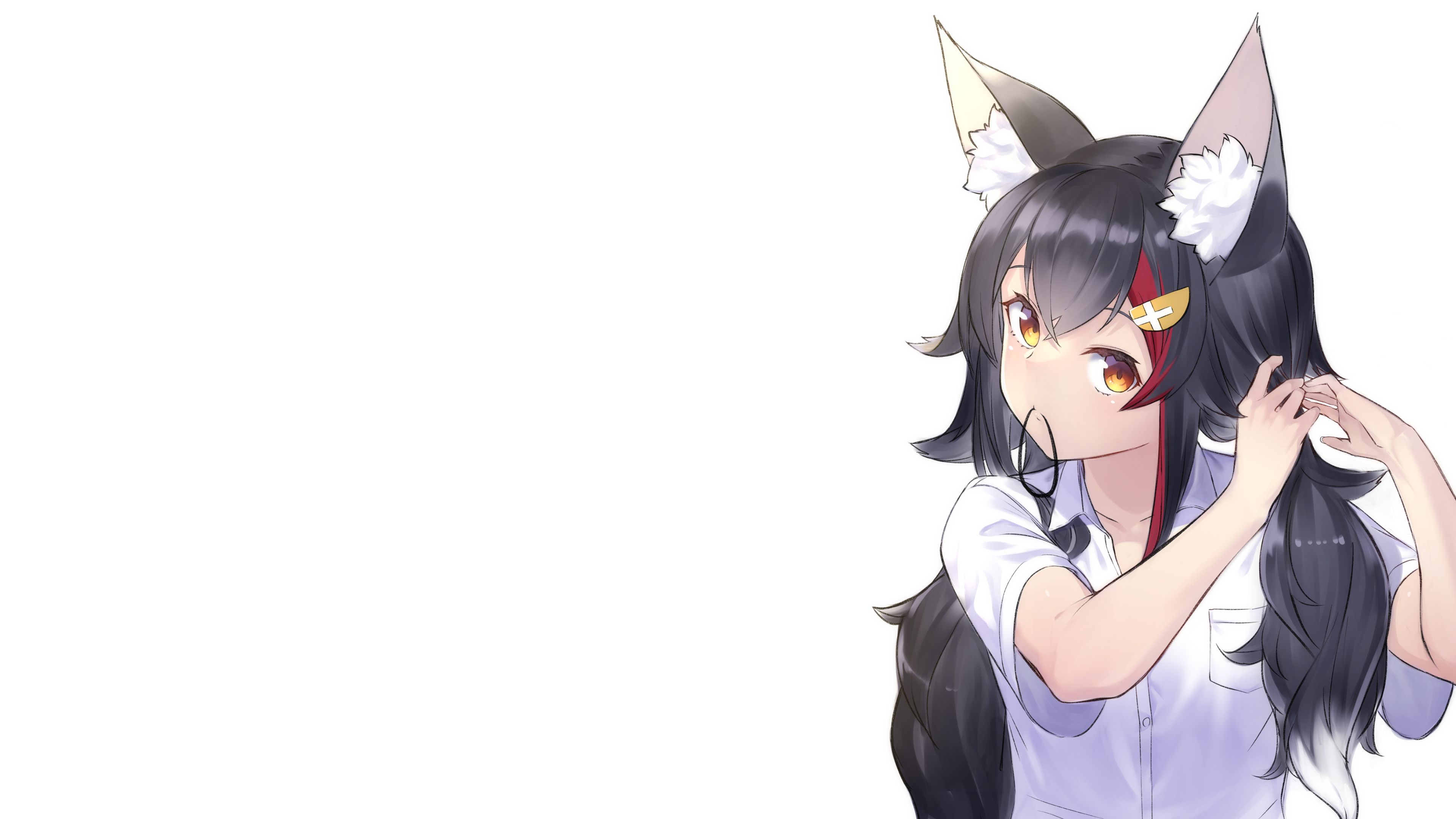 Anime Girl With Wolf Ears Wallpapers