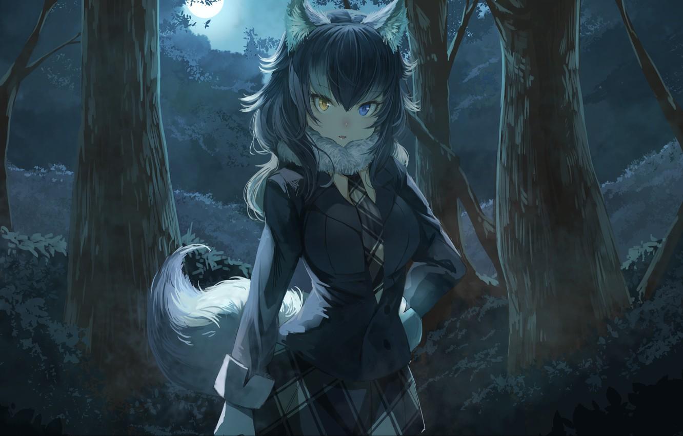 Anime Girl With Wolf Ears Wallpapers