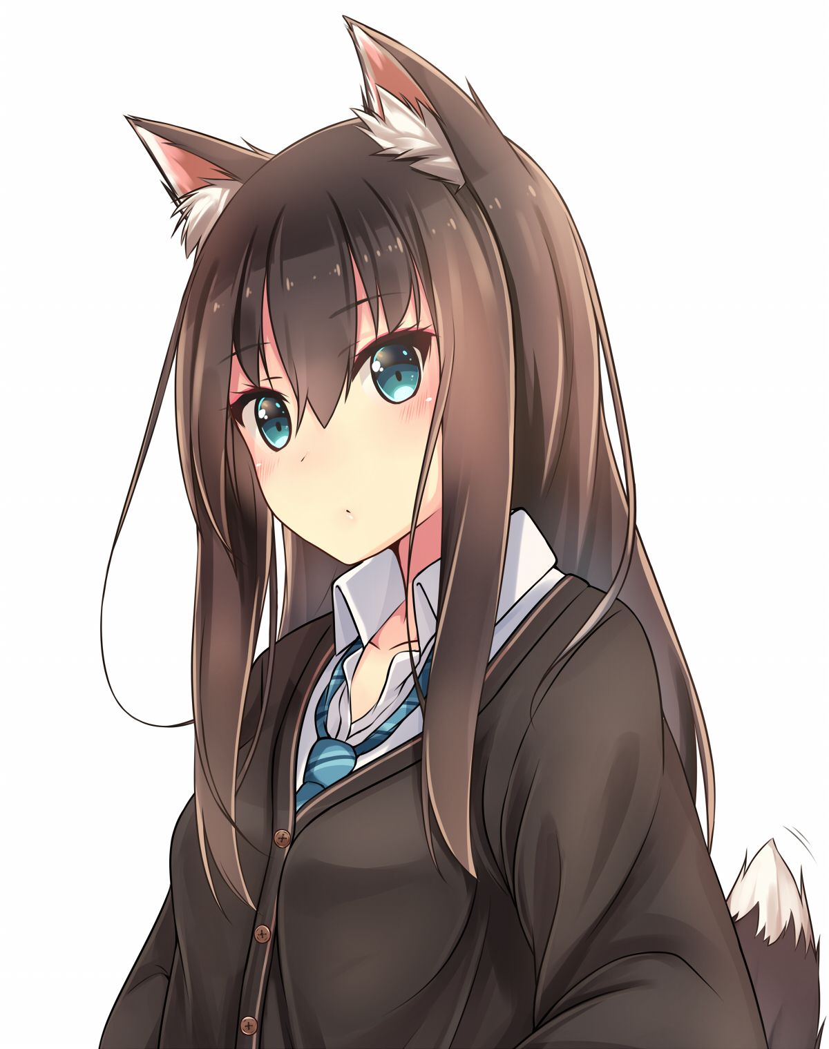 Anime Girl With Wolf Ears Wallpapers