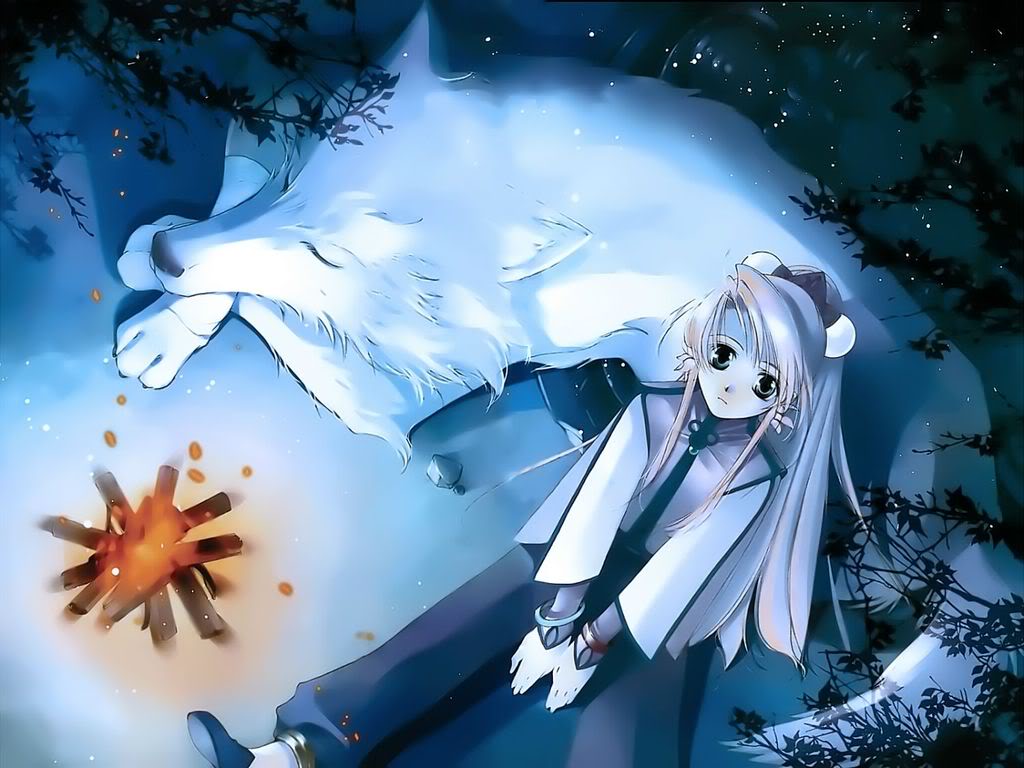 Anime Girl With Wolf Ears Wallpapers