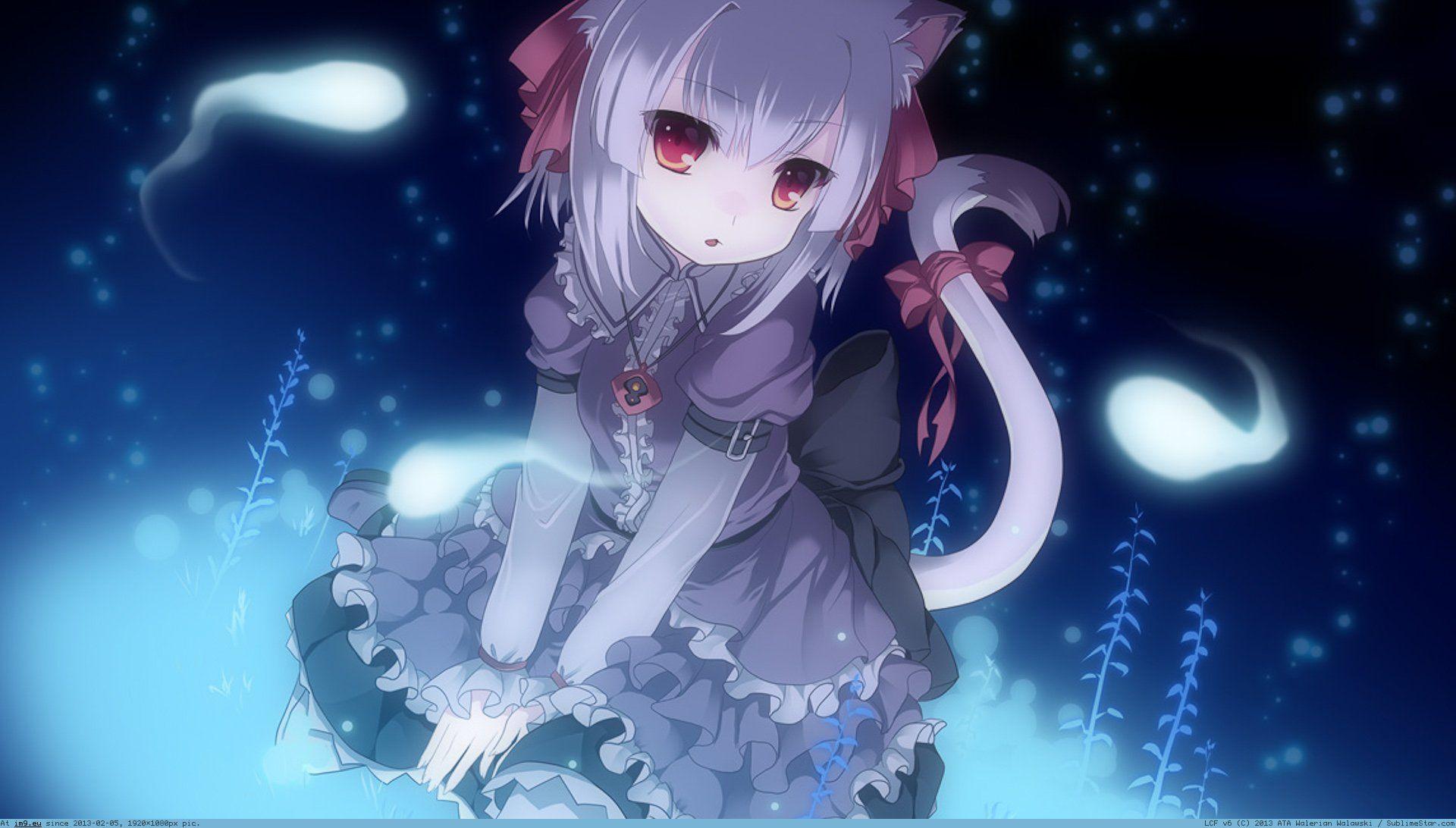 Anime Neko Girl Wallpapers