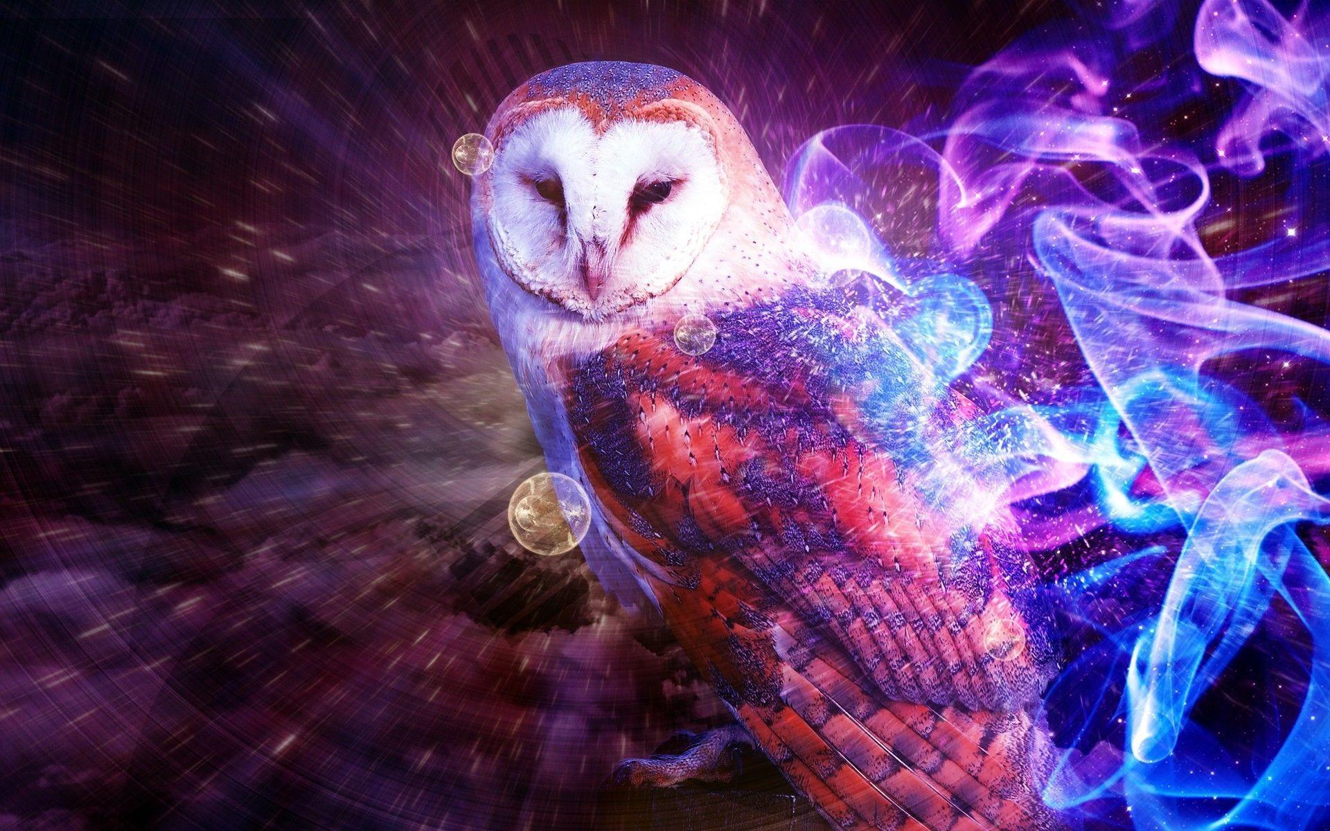 Anime Owl Wallpapers