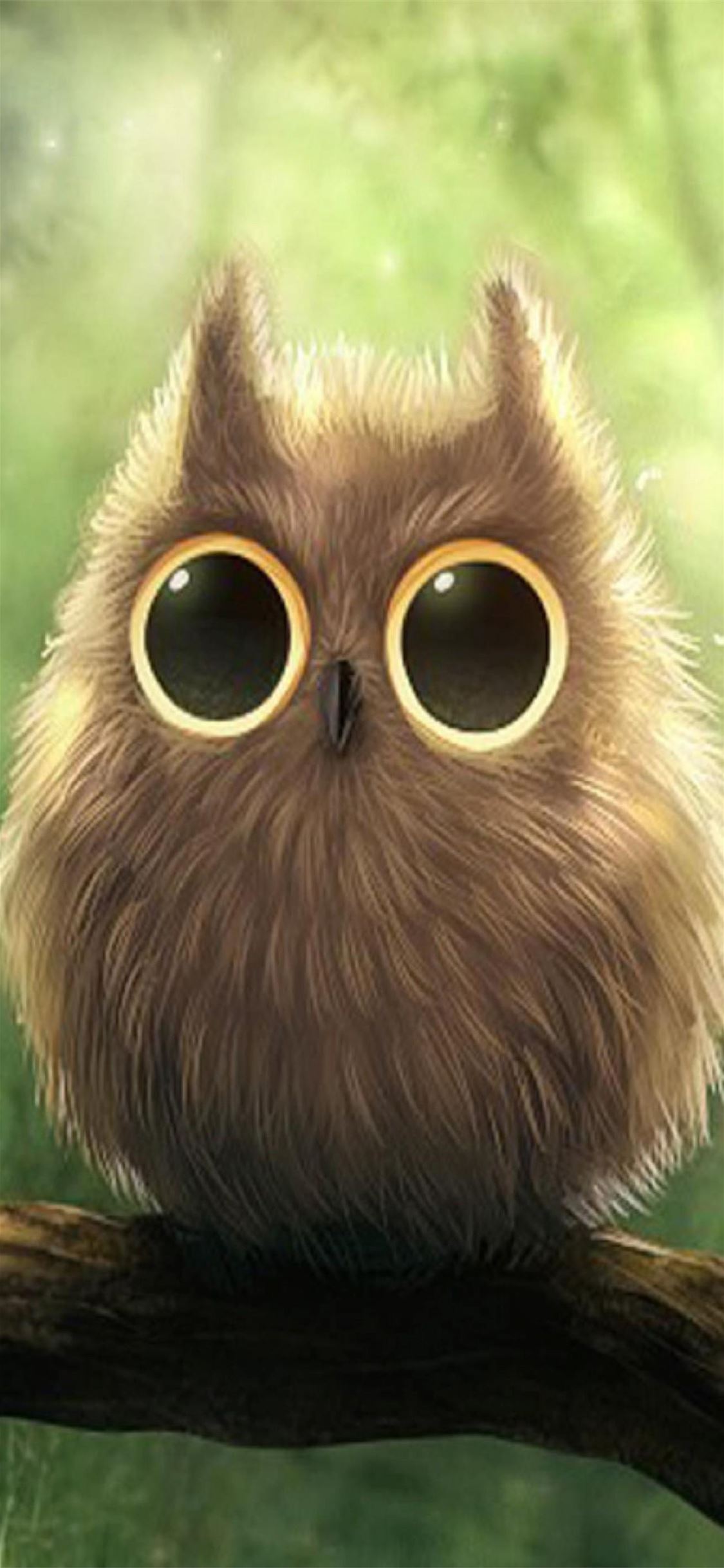 Anime Owl Wallpapers