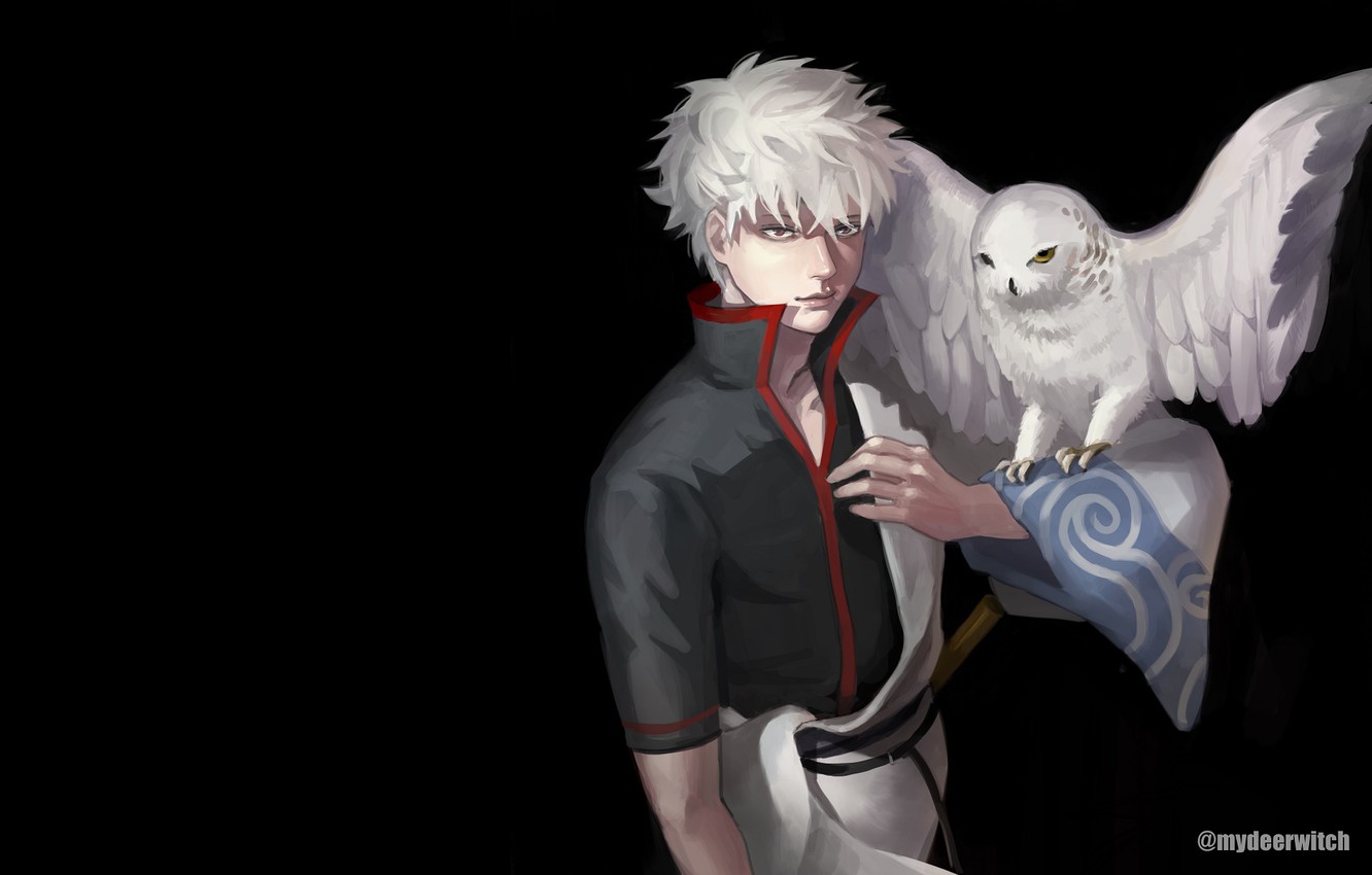 Anime Owl Wallpapers