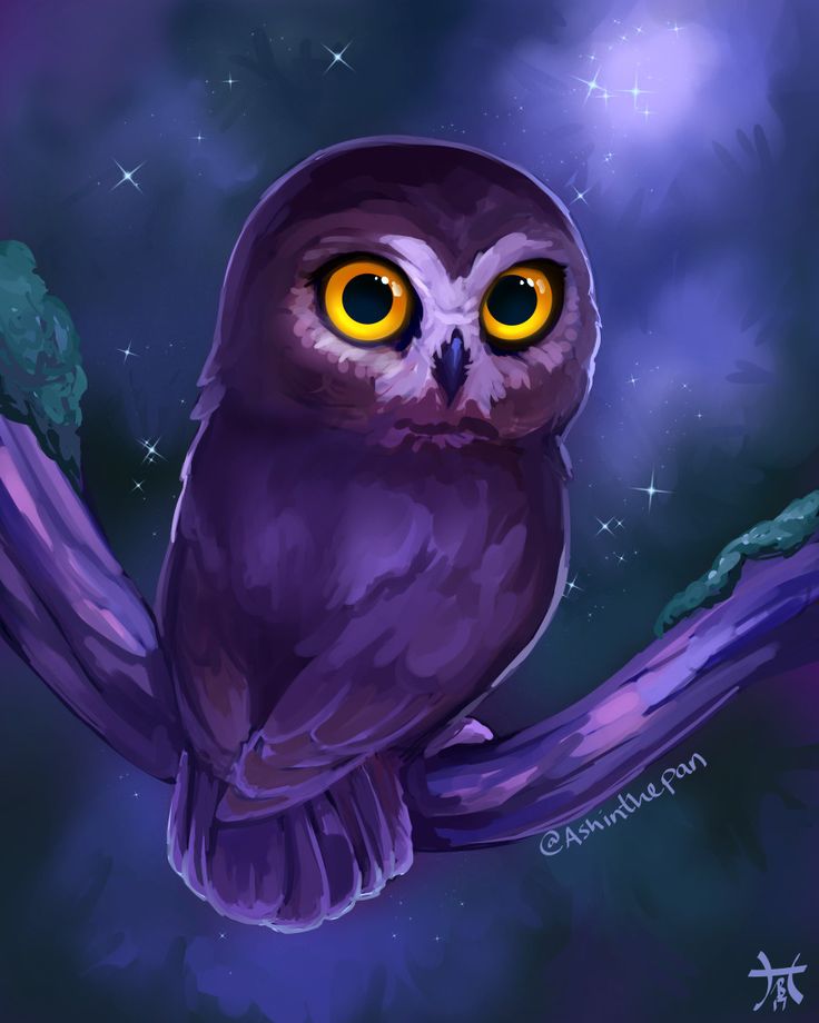 Anime Owl Wallpapers