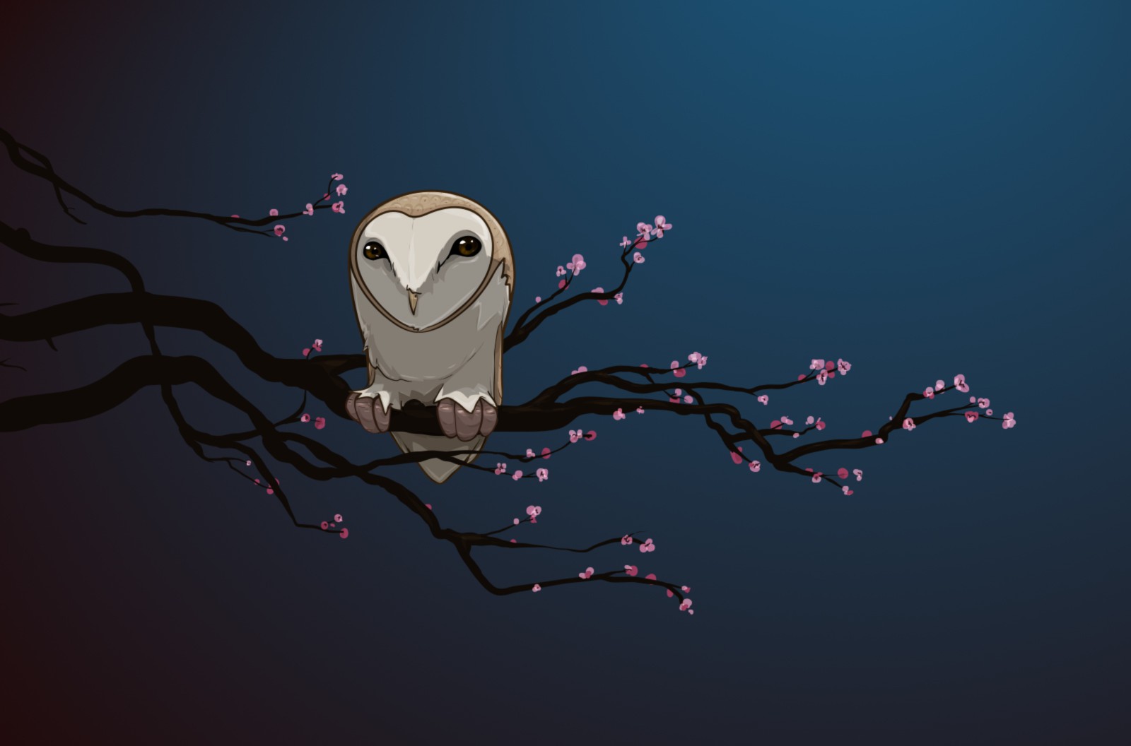 Anime Owl Wallpapers