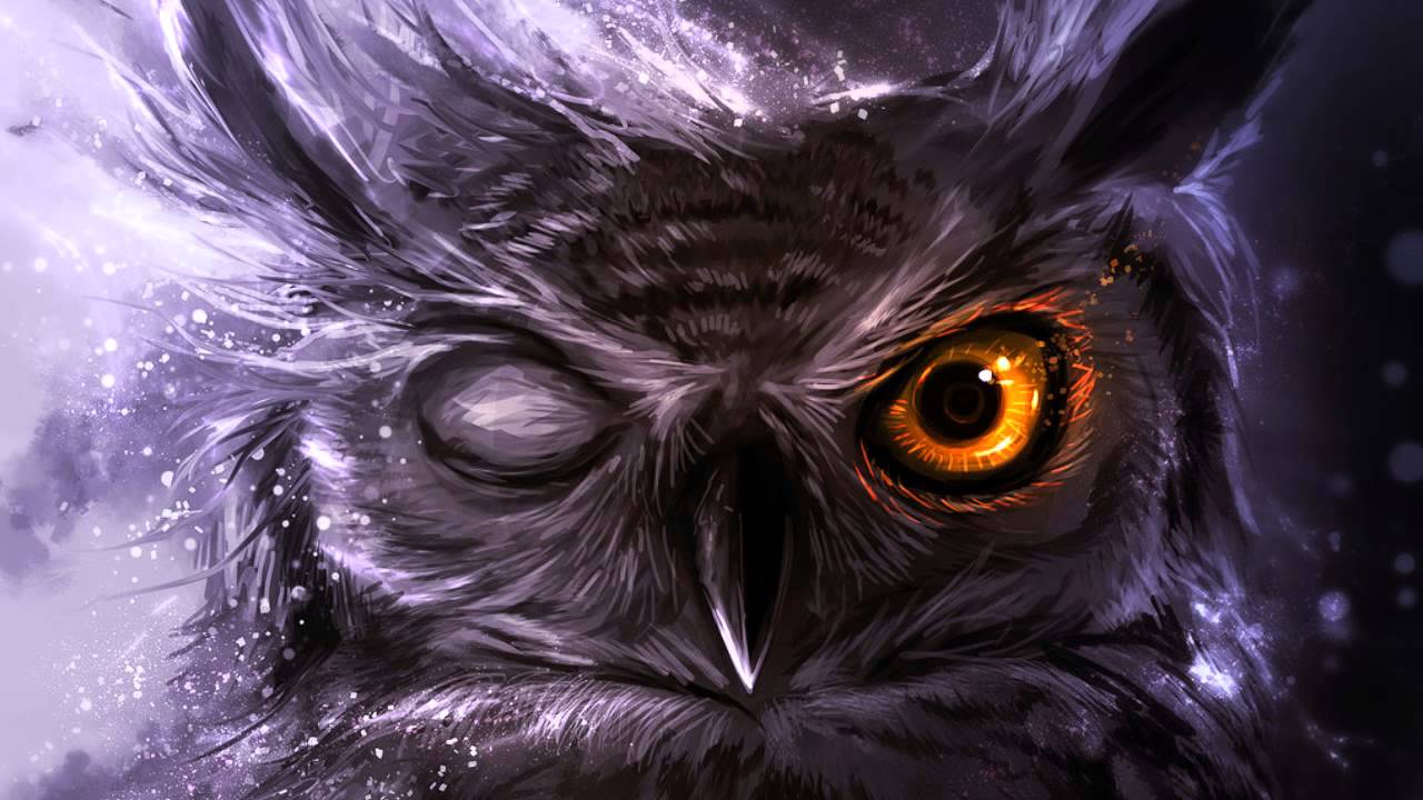 Anime Owl Wallpapers