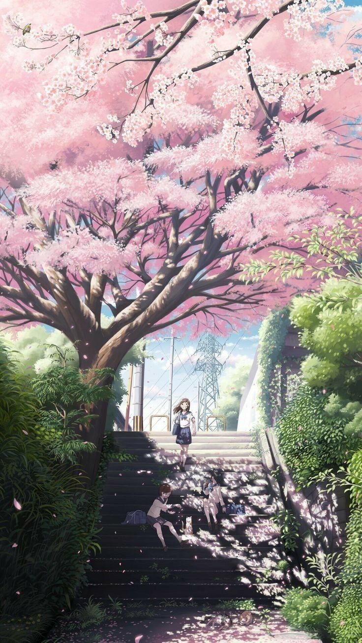 Anime Sakura Blossom Wallpapers