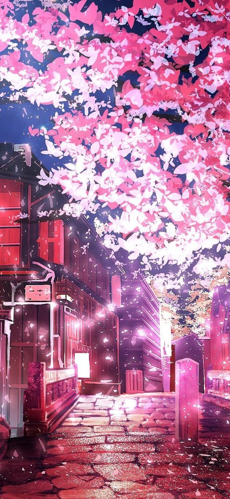 Anime Sakura Blossom Wallpapers