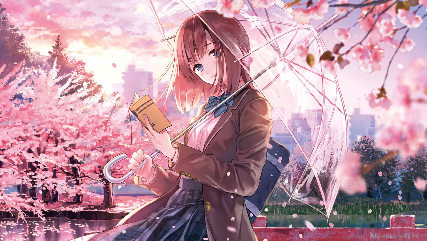 Anime Sakura Blossom Wallpapers