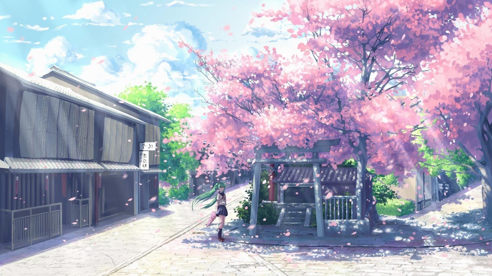 Anime Sakura Blossom Wallpapers