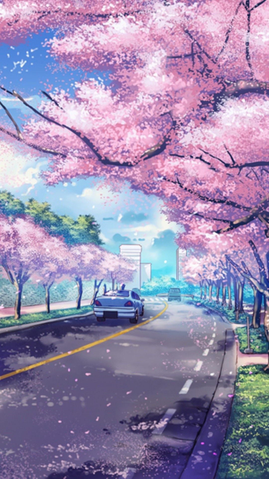 Anime Sakura Blossom Wallpapers