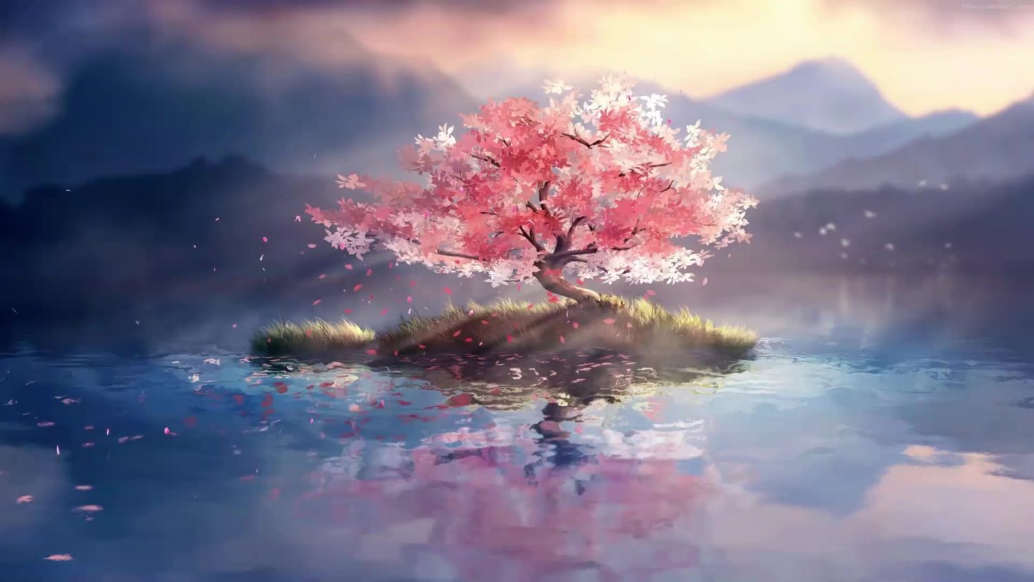 Anime Sakura Blossom Wallpapers