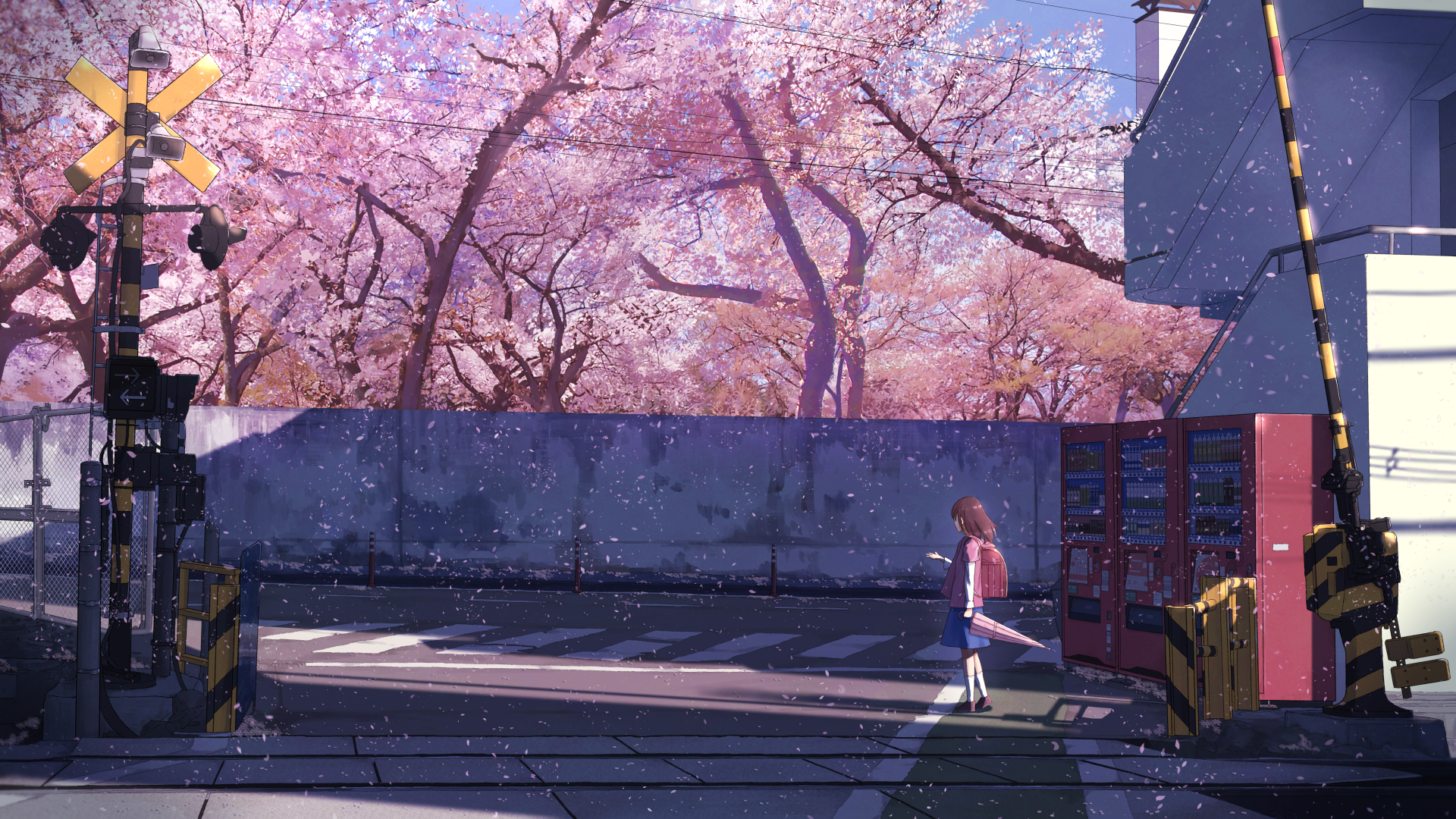 Anime Sakura Blossom Wallpapers