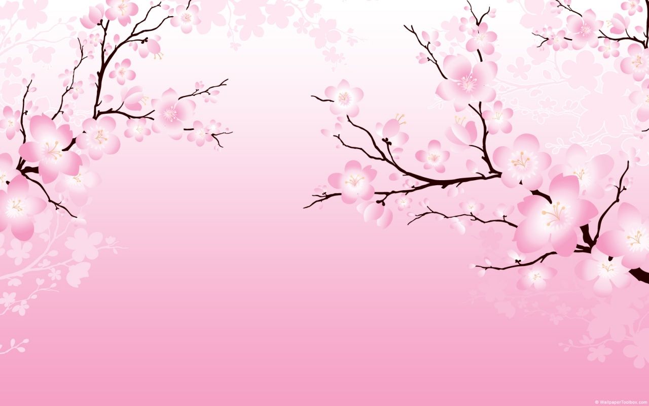 Anime Sakura Flower Wallpapers