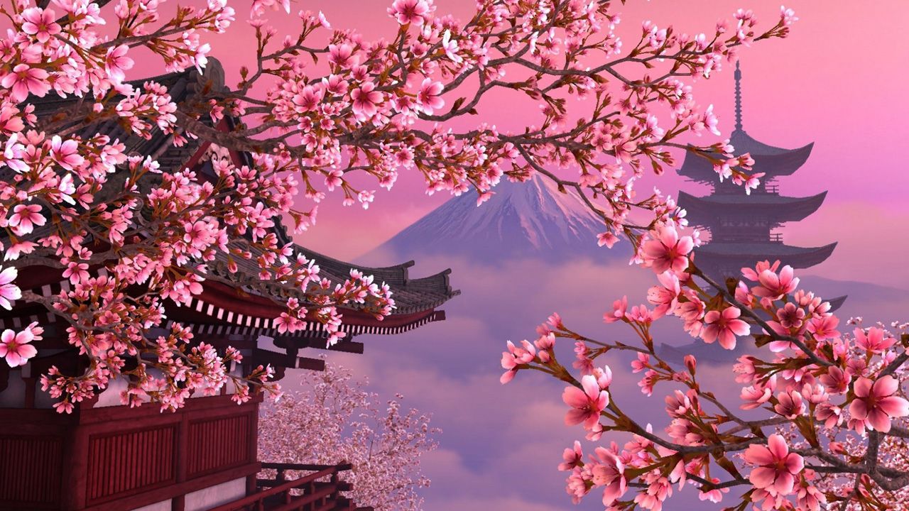 Anime Sakura Flower Wallpapers