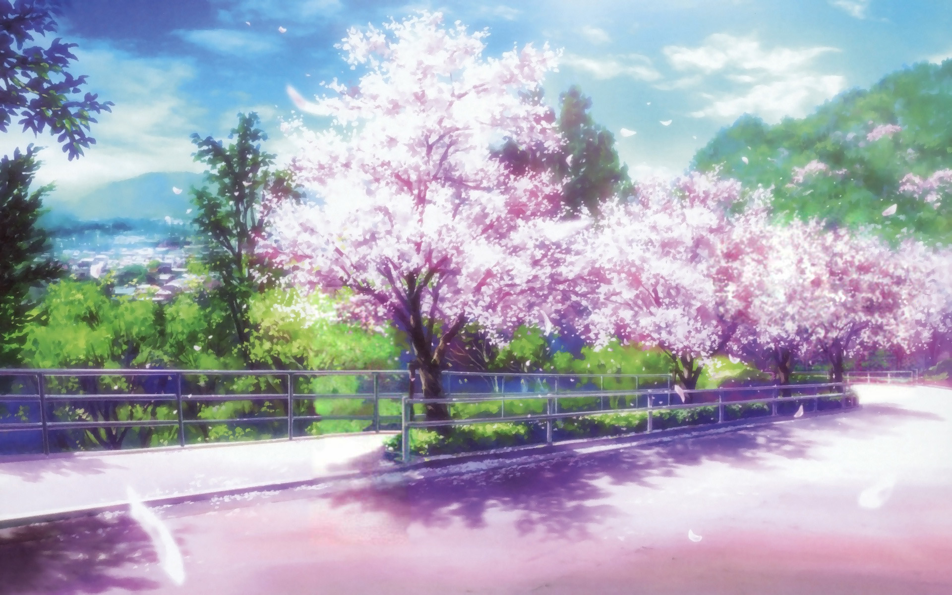 Anime Sakura Flower Wallpapers