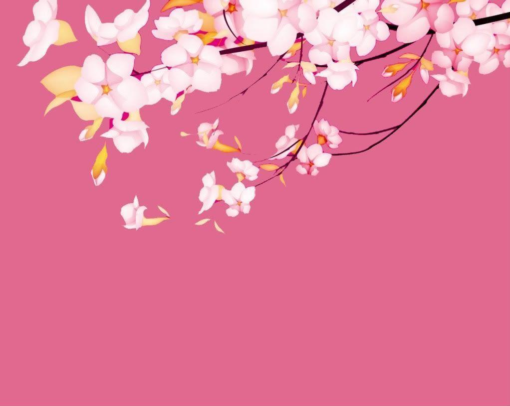 Anime Sakura Flower Wallpapers