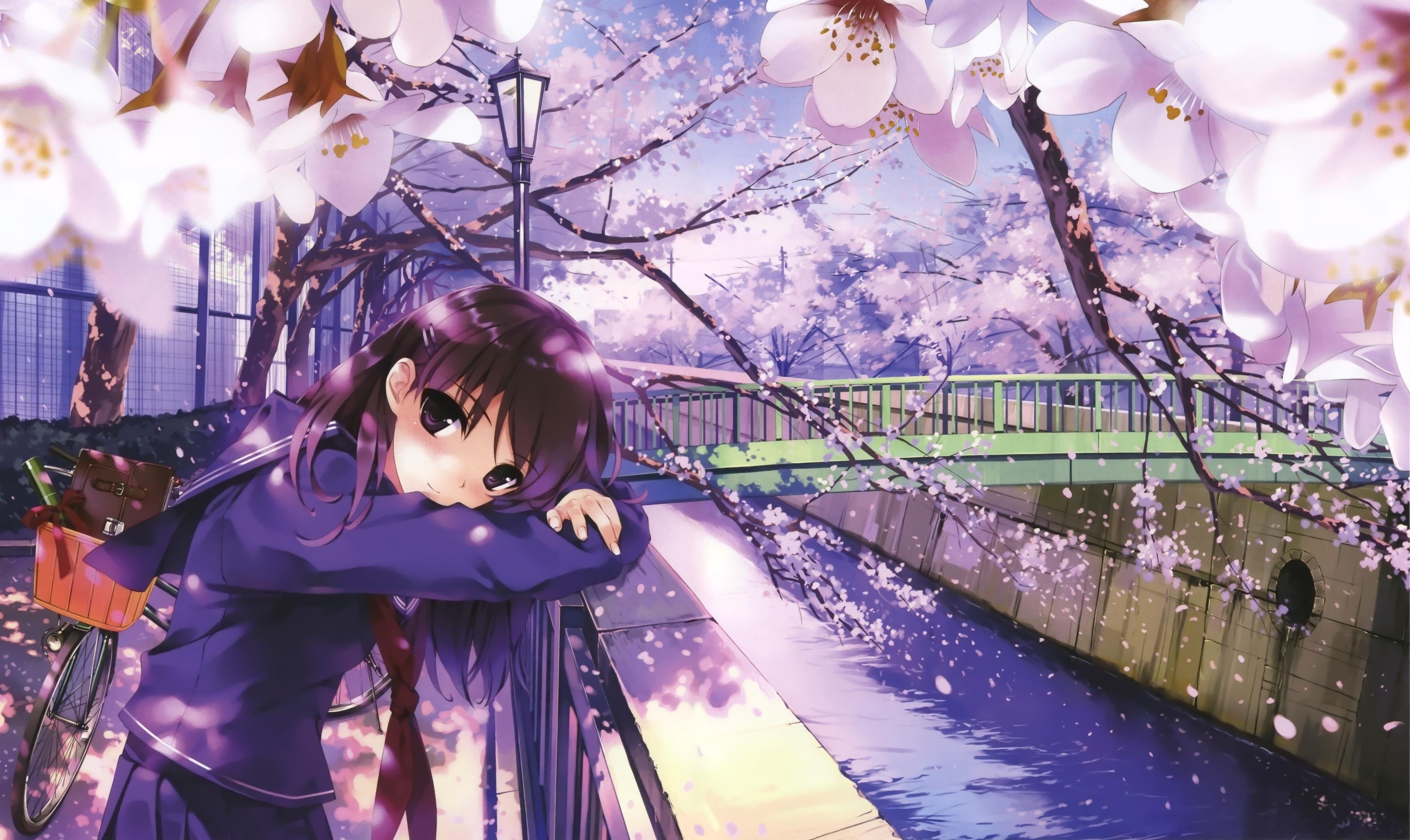 Anime Sakura Flower Wallpapers