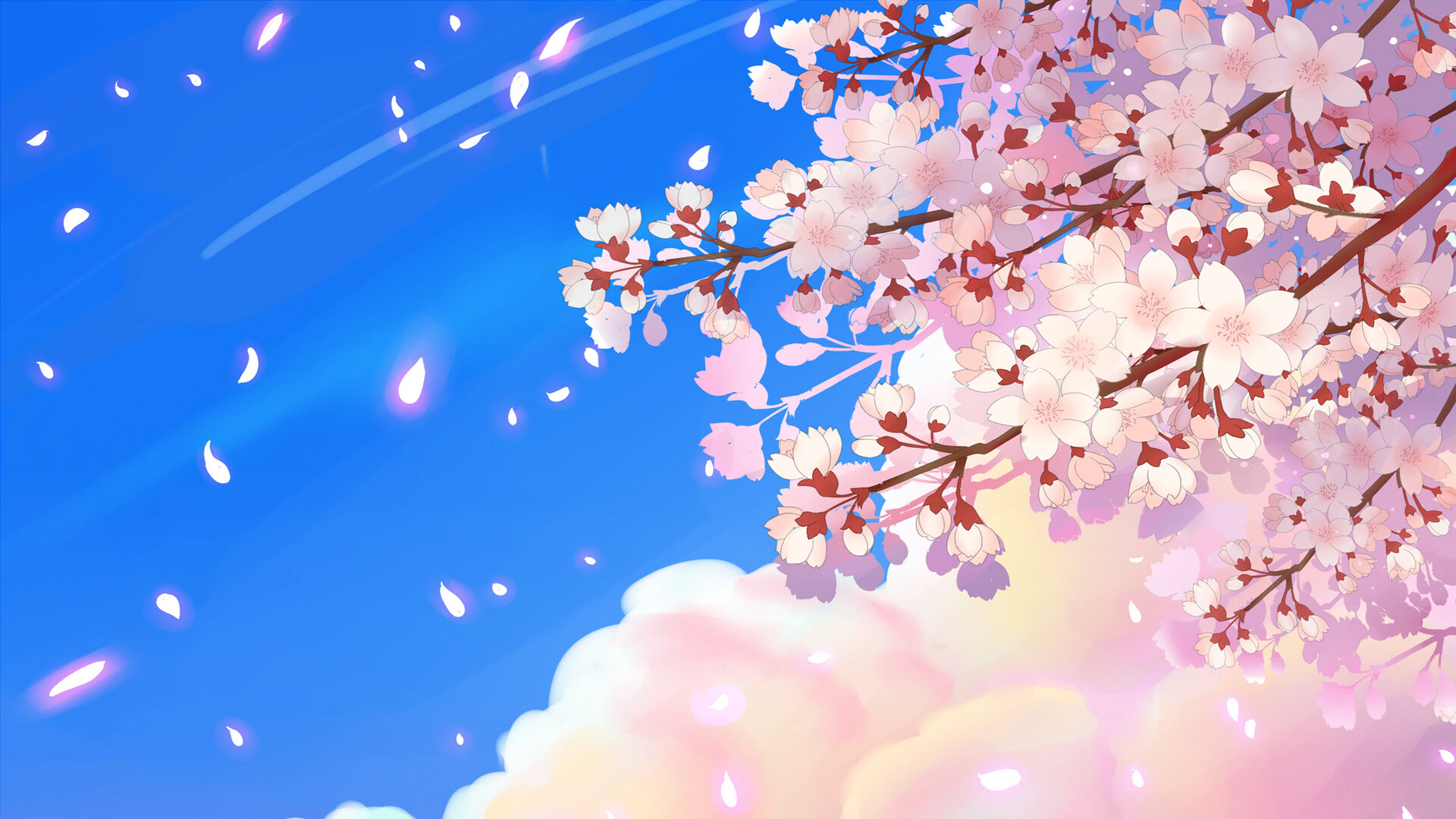 Anime Sakura Flower Wallpapers