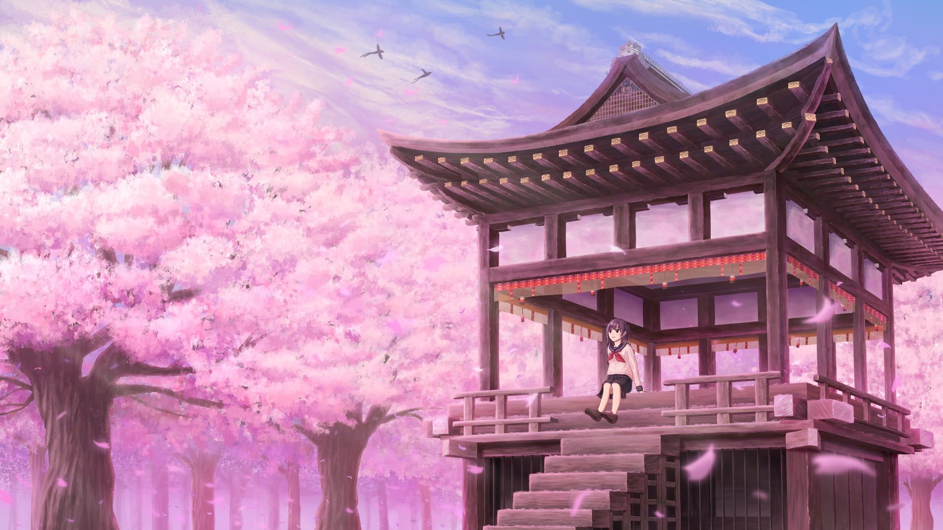 Anime Sakura Trees Hd Wallpapers